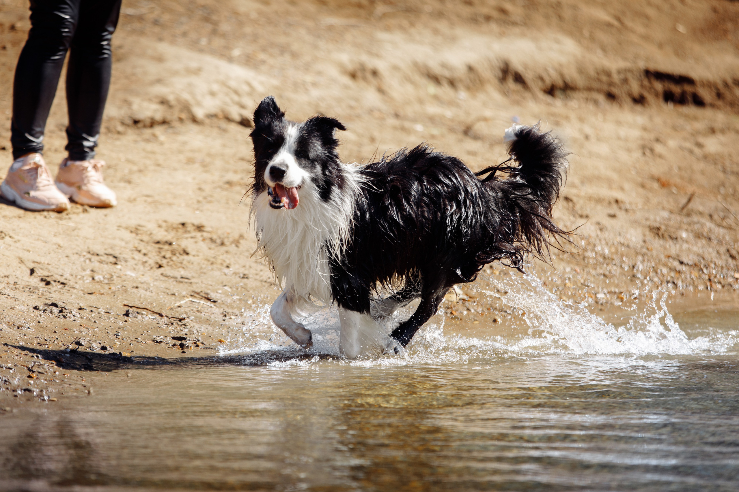 Водяные в Новотроицке. О нас