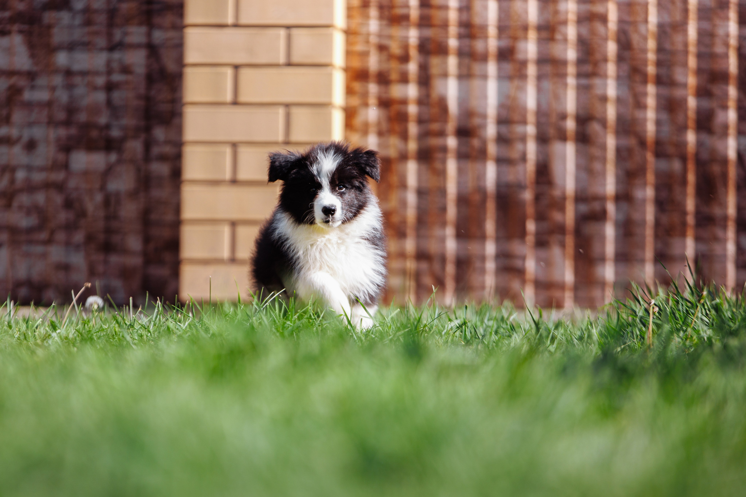 МММ — маленькое мягкое милое. О нас