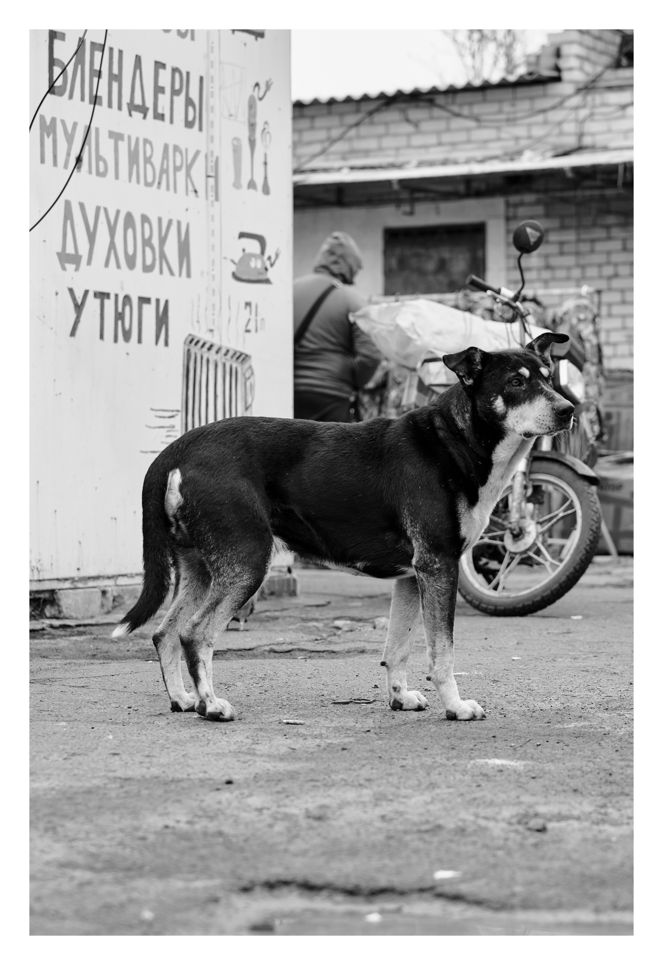 Фотопринты А3. Фотопроект «Территории»