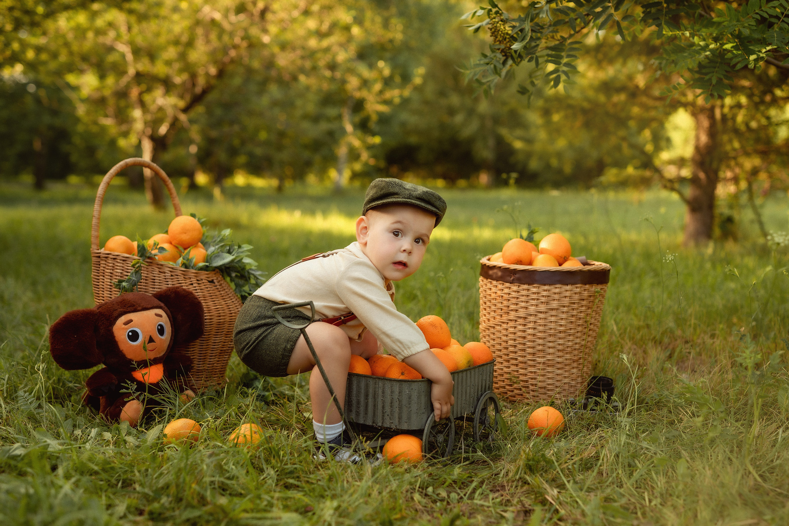 «Чебурашка». Детский и семейный фотограф в г. Ачинск Надежда Мелиоранская