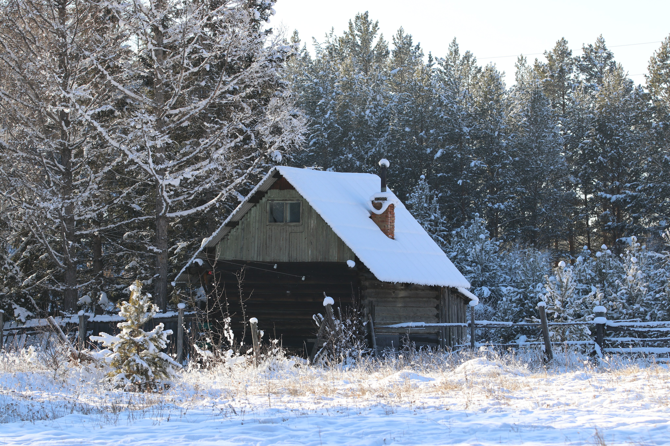 Аршан. Январь 2022. Путешественник-фотограф из Санкт-Петербурга Татьяна Свистулина