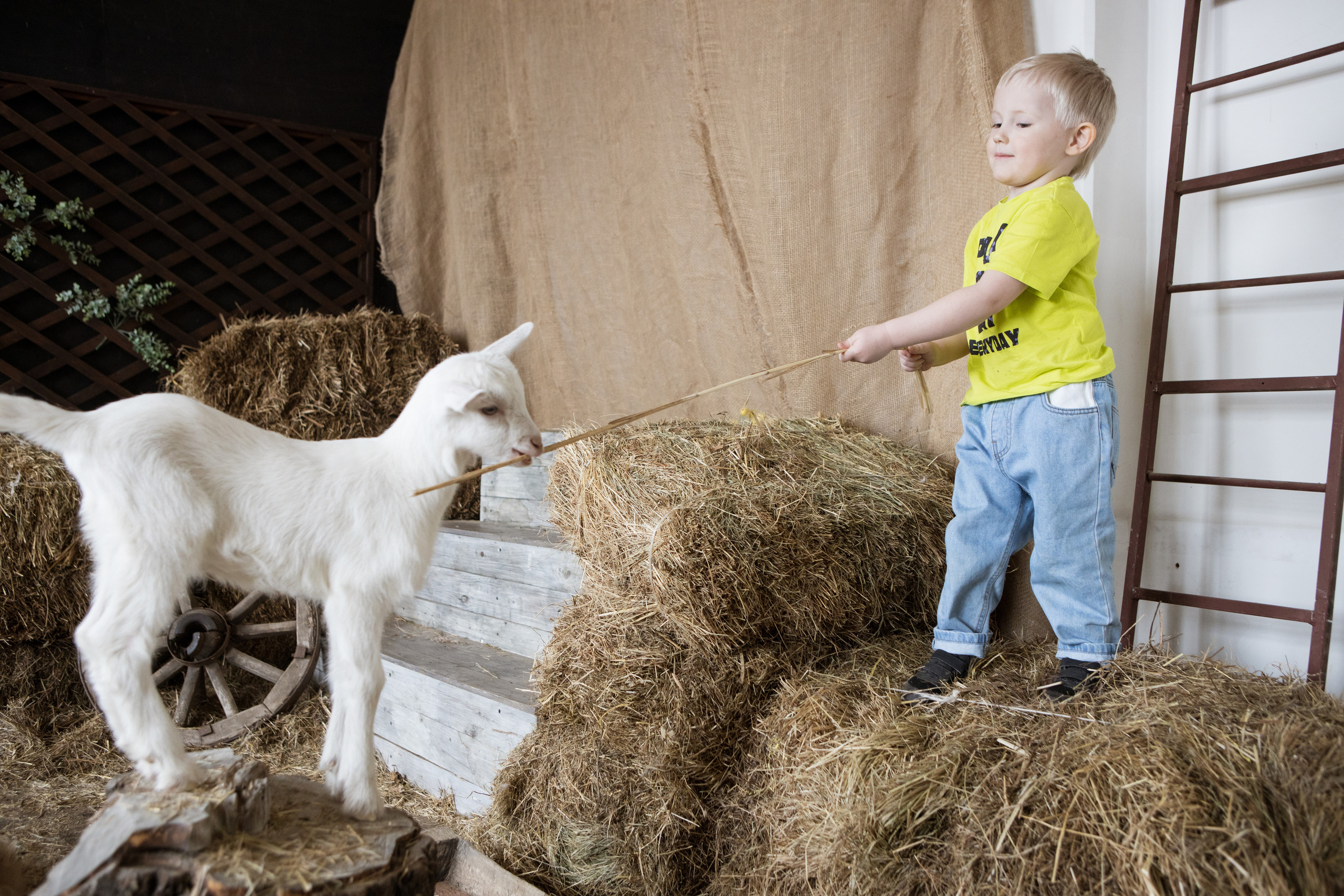 Ребята и зверята