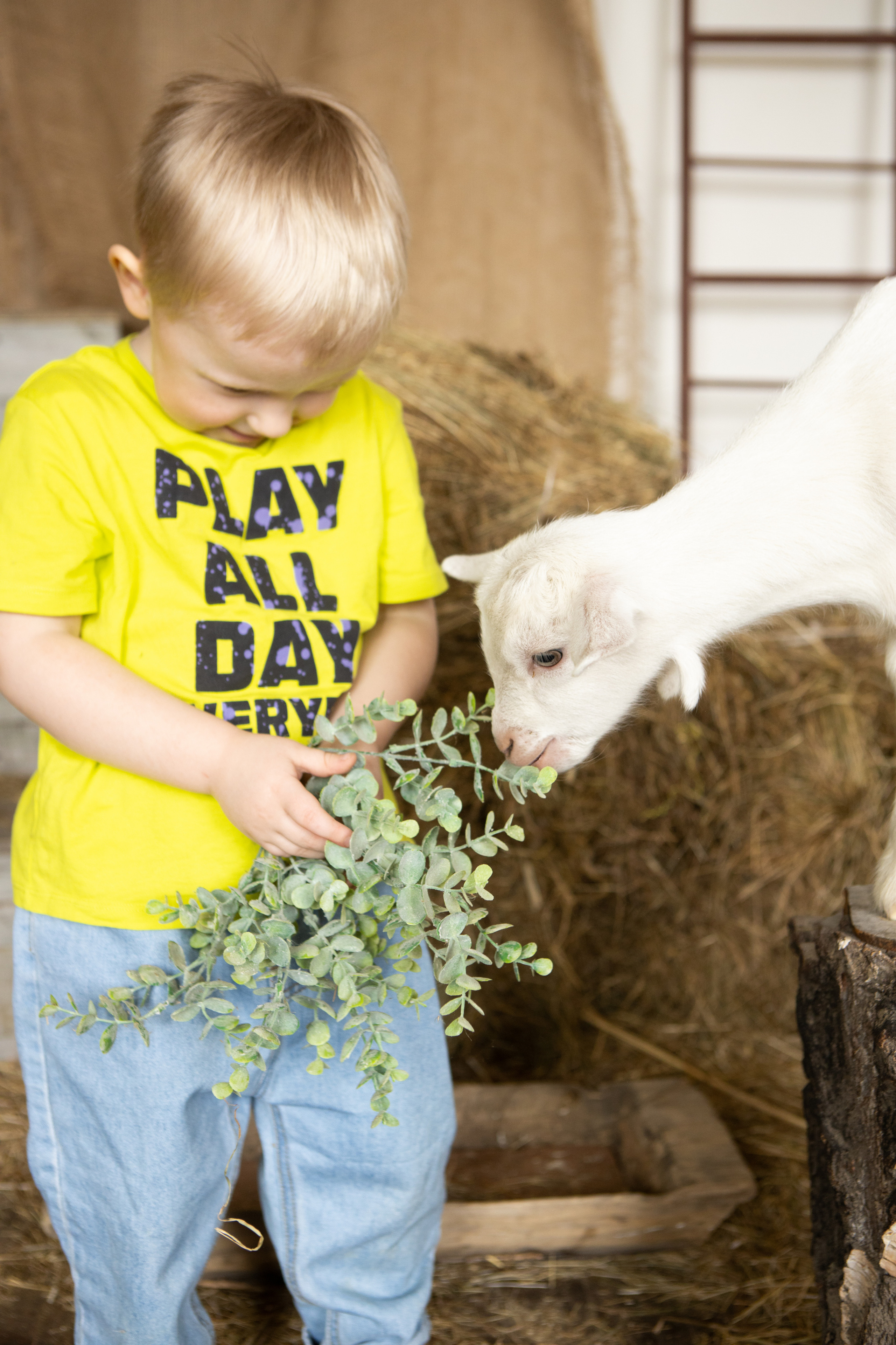 Ребята и зверята