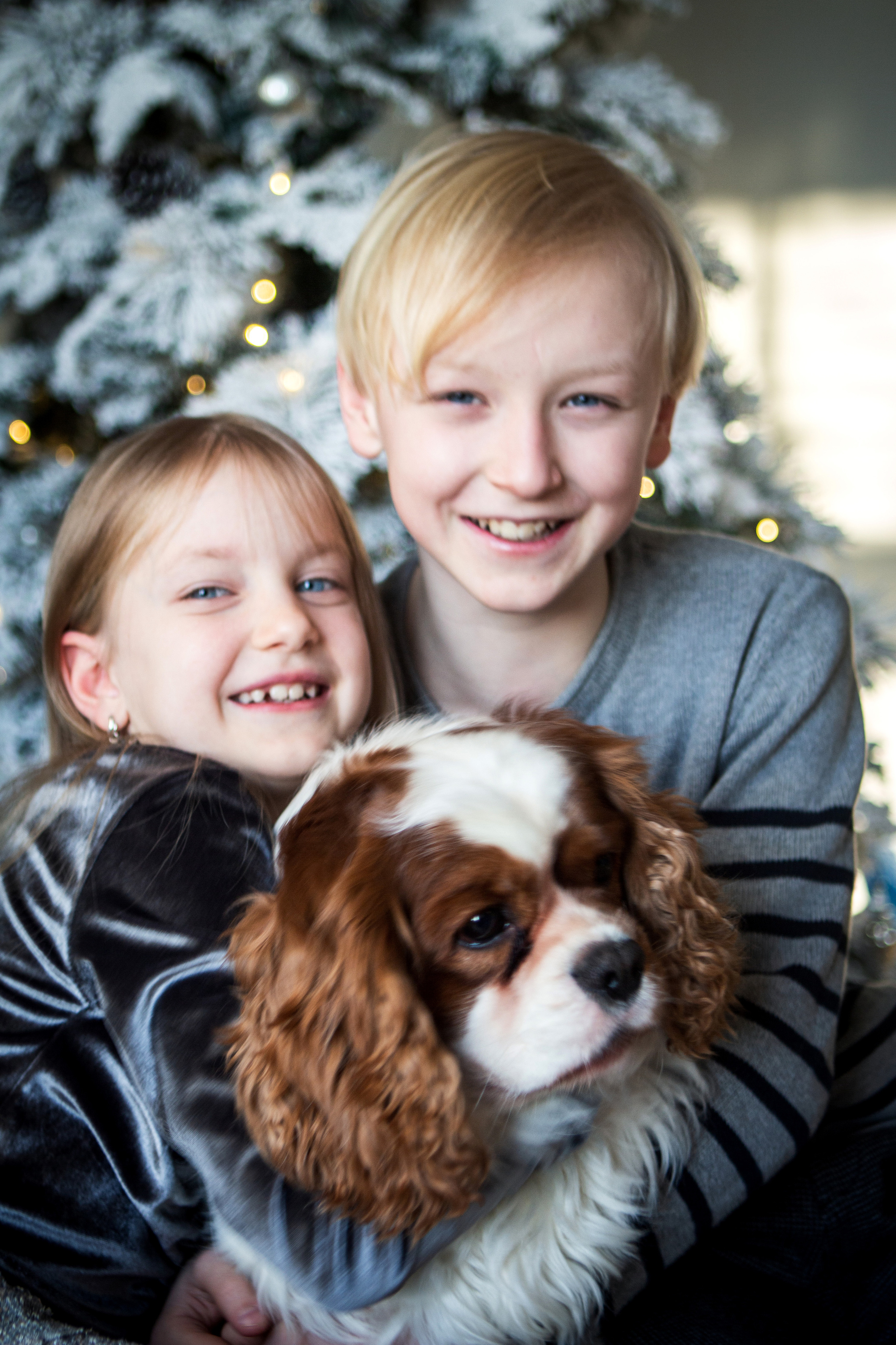 Замчательная семья и их четвероногий друг