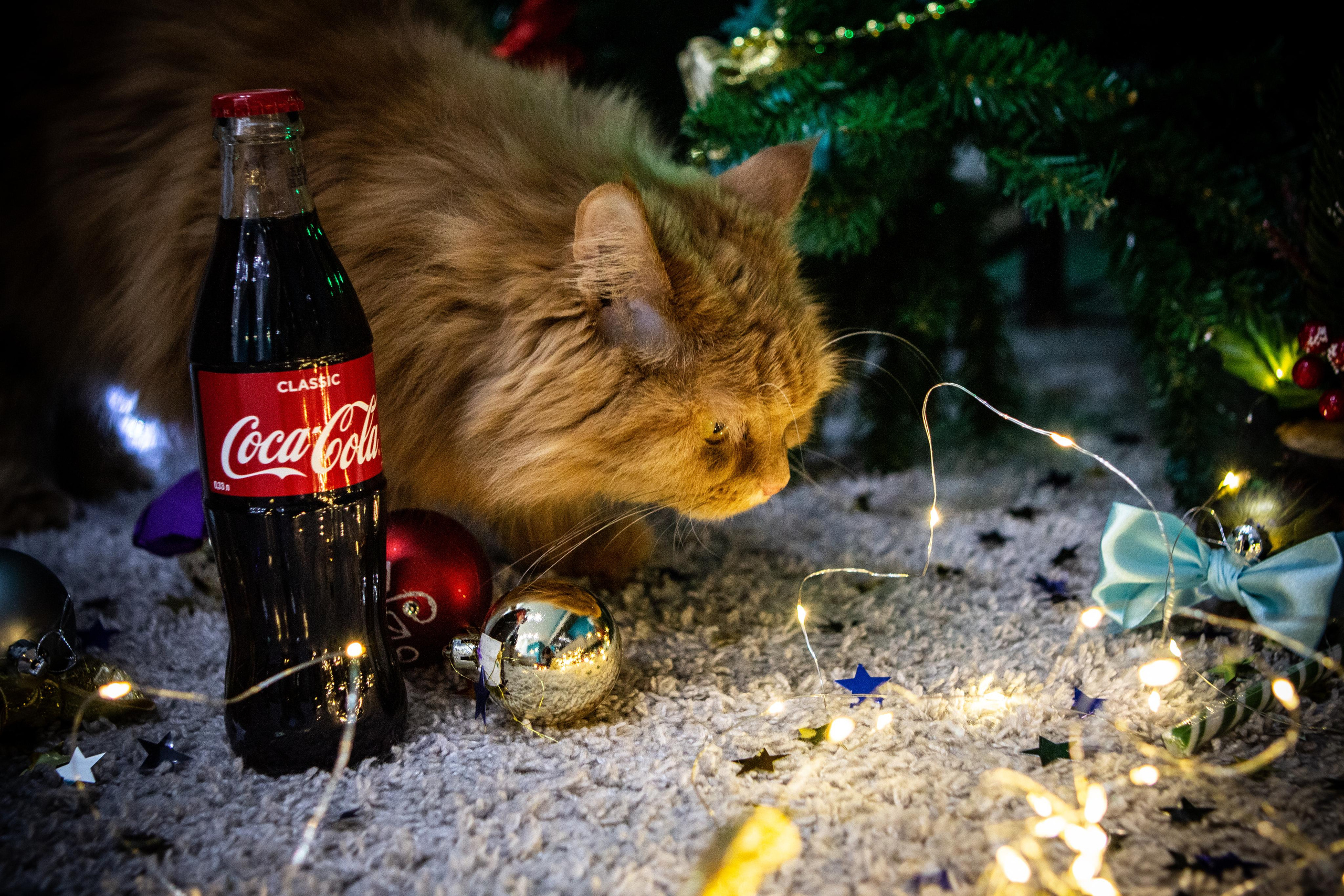 Домашняя, уютная, новогодняя