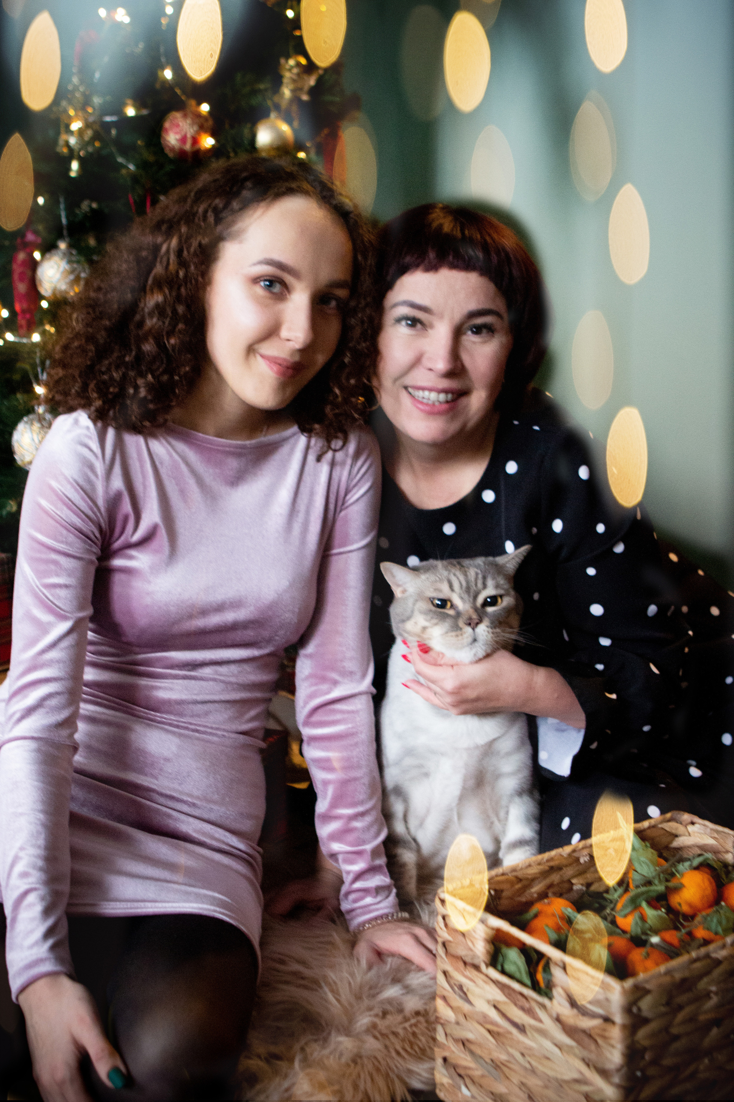 Новогодняя история Наташи, Жени и кота Босса