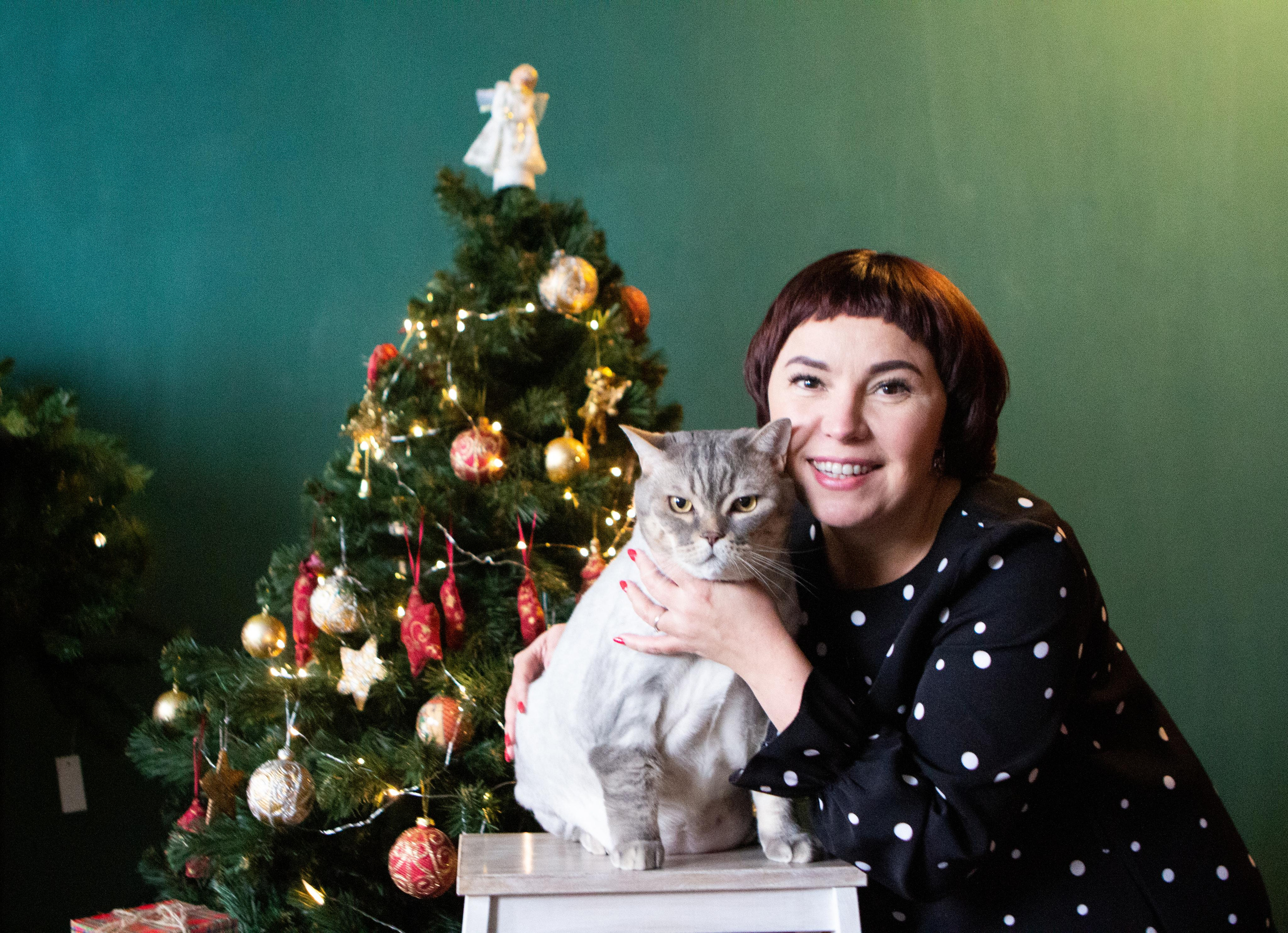 Новогодняя история Наташи, Жени и кота Босса