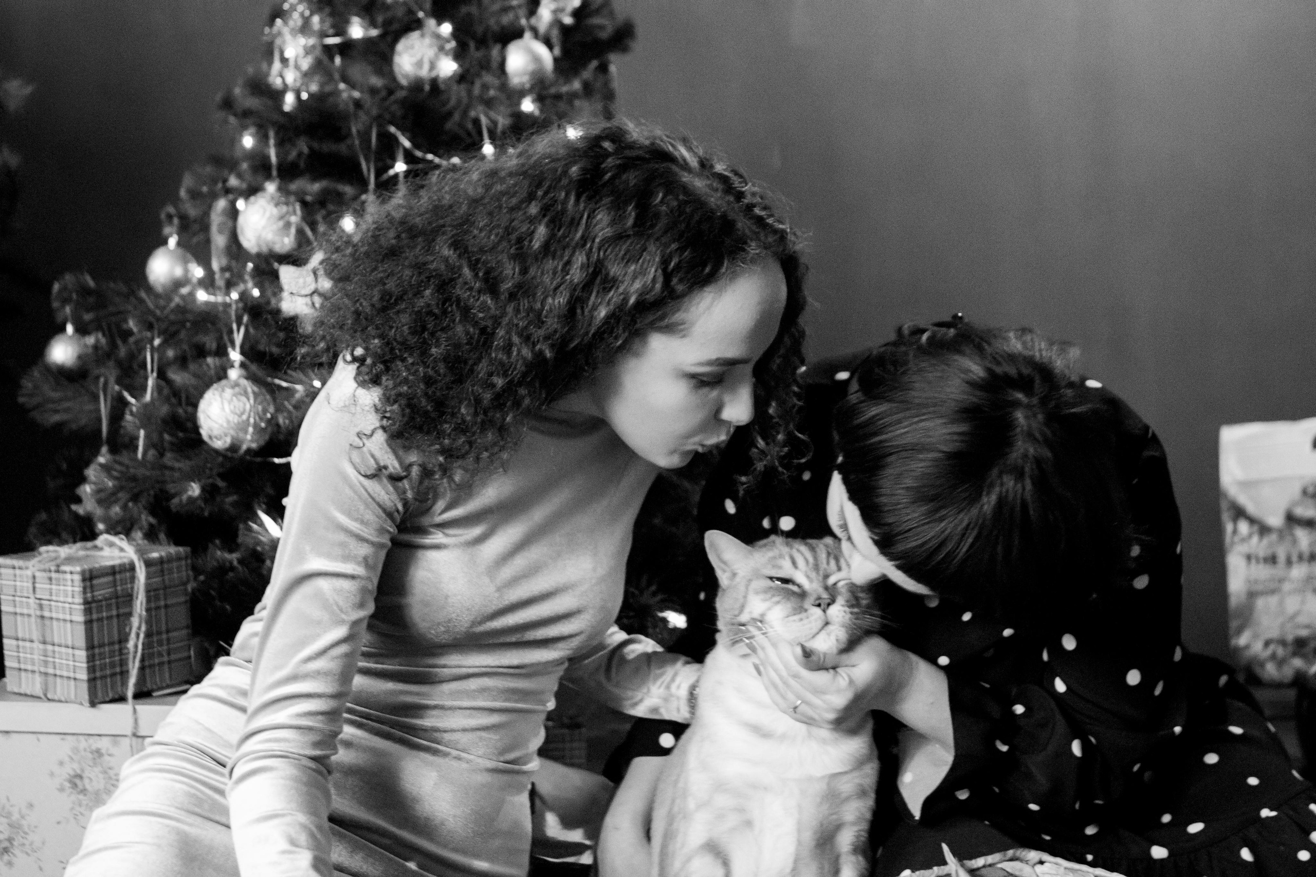 Новогодняя история Наташи, Жени и кота Босса