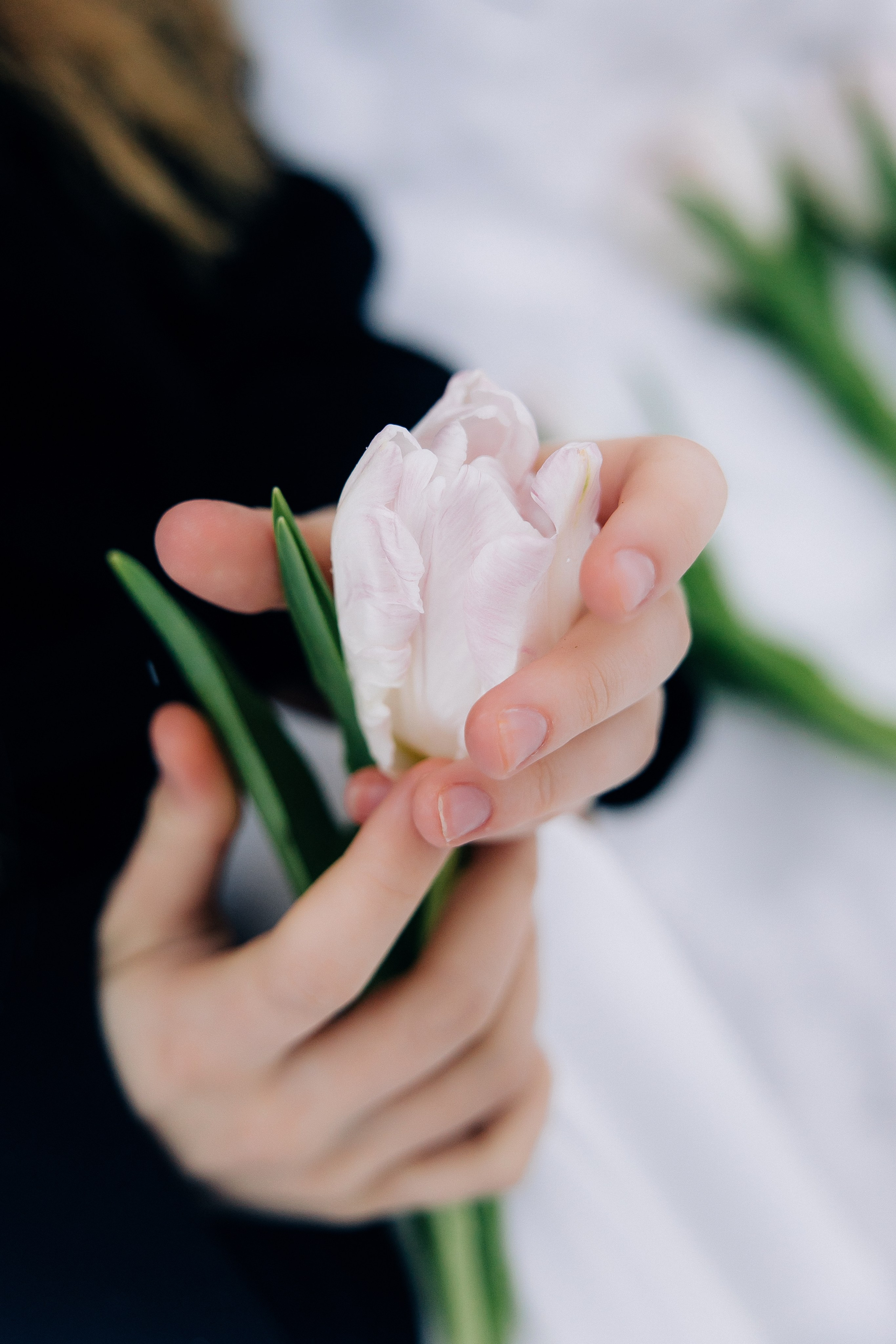 Нежность. Свадебный и семейный фотограф в Воронеже Свиридова Евгения