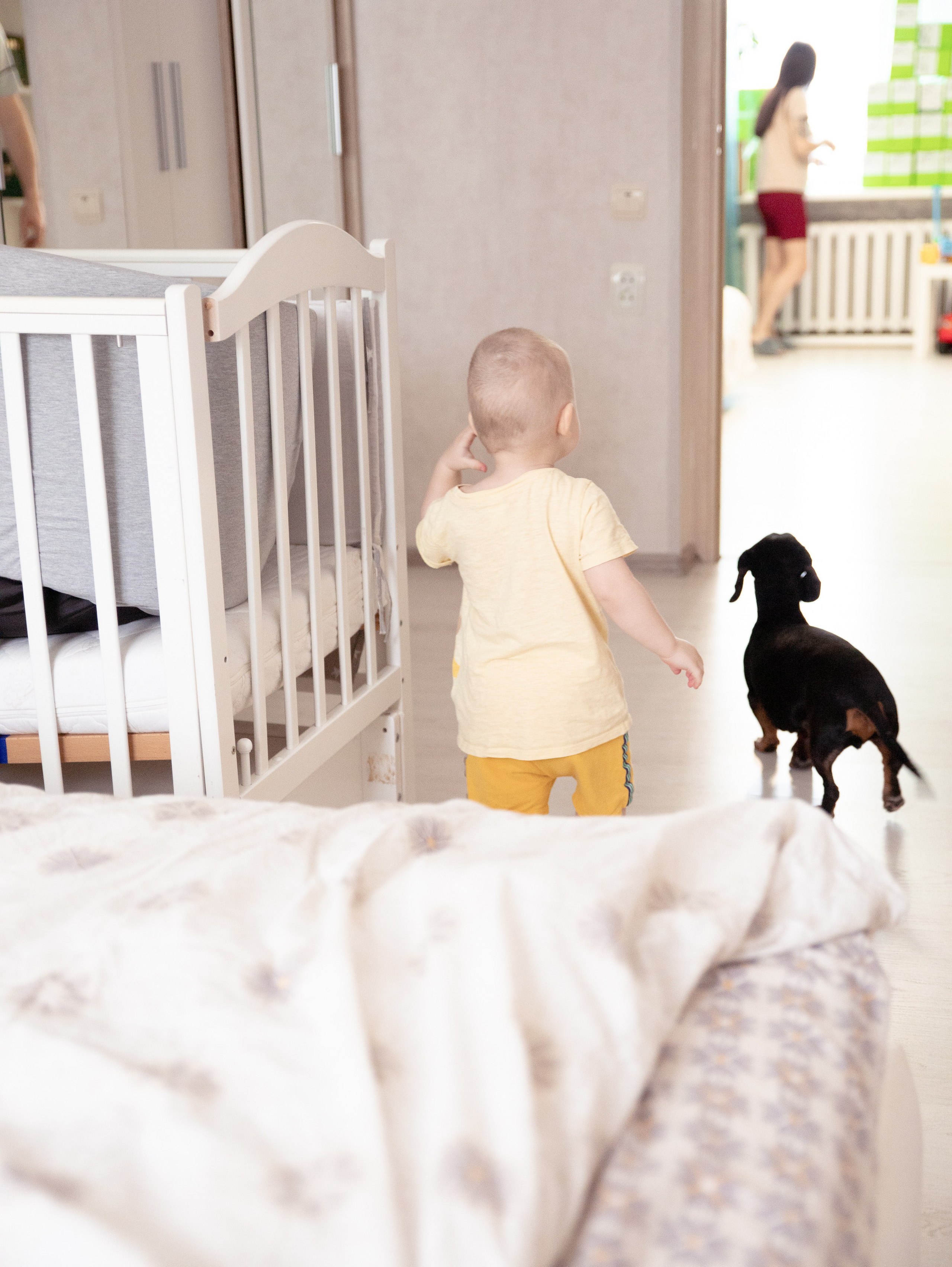 Лев. Фотограф в СПб и ЛО Татьяна Кучерова