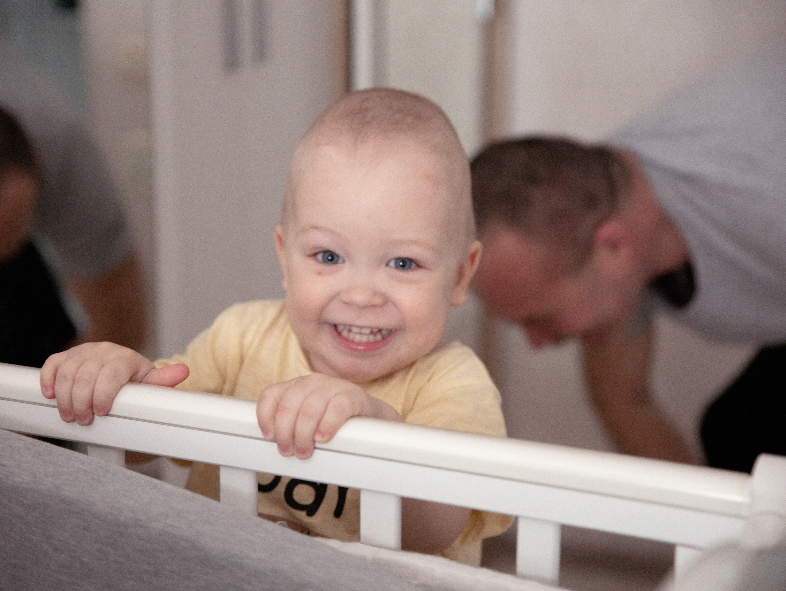 Лев. Фотограф в СПб и ЛО Татьяна Кучерова