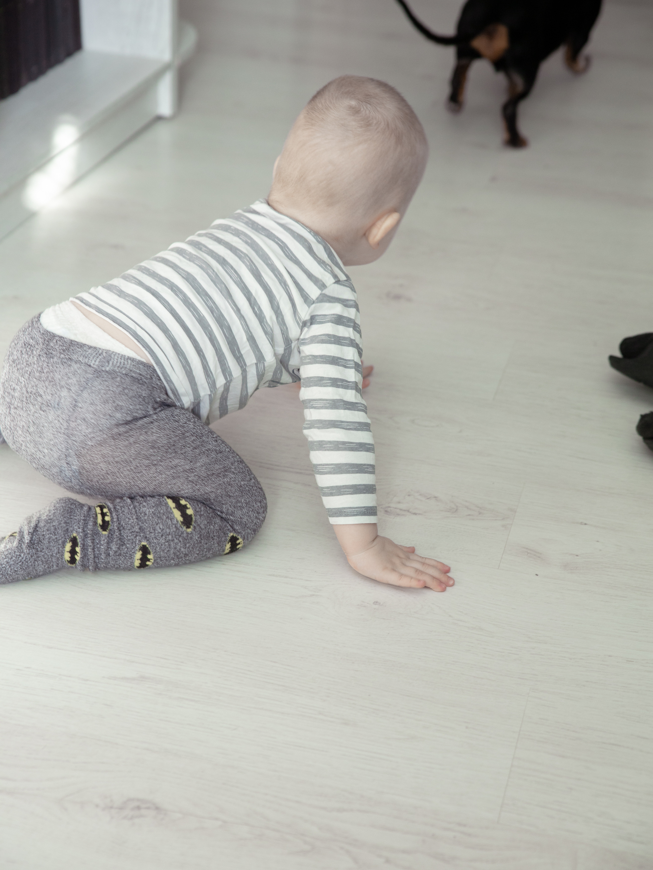 Лев. Фотограф в СПб и ЛО Татьяна Кучерова