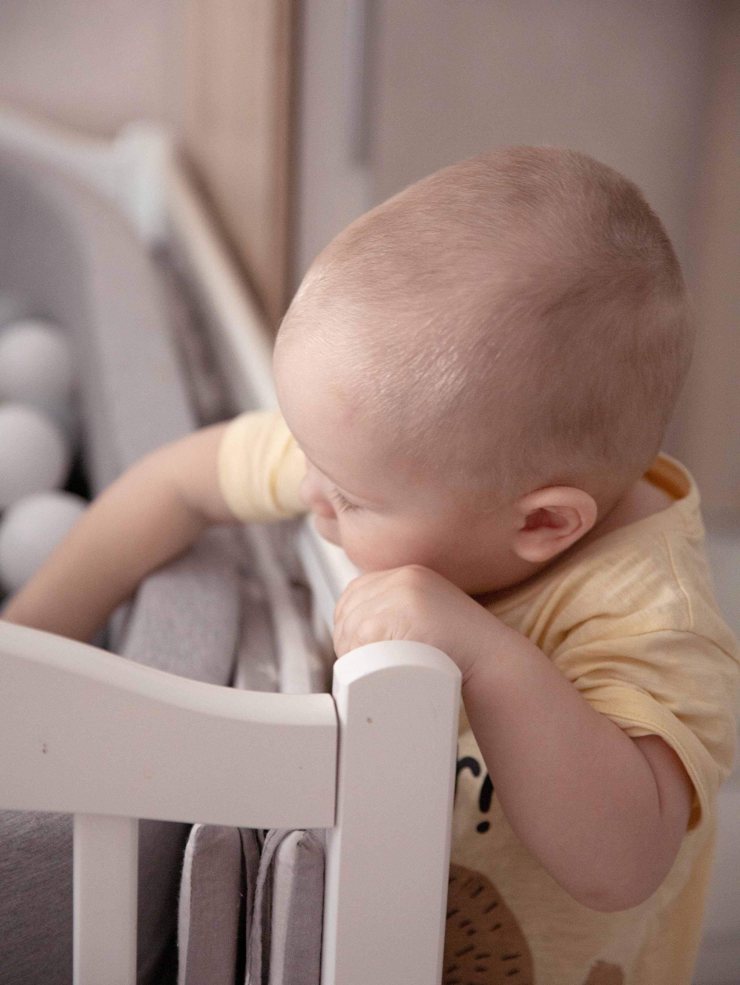 Лев. Фотограф в СПб и ЛО Татьяна Кучерова