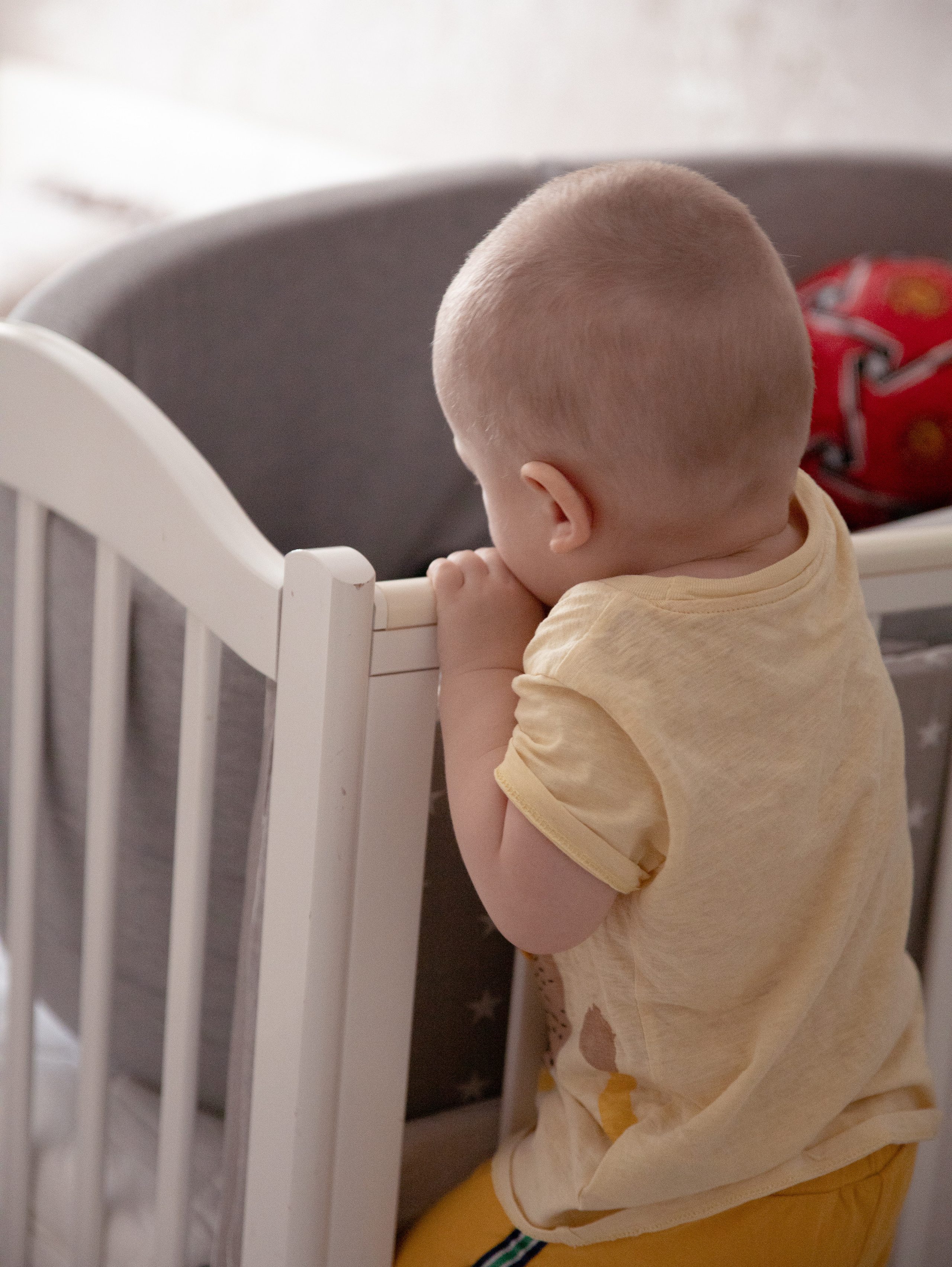 Лев. Фотограф в СПб и ЛО Татьяна Кучерова