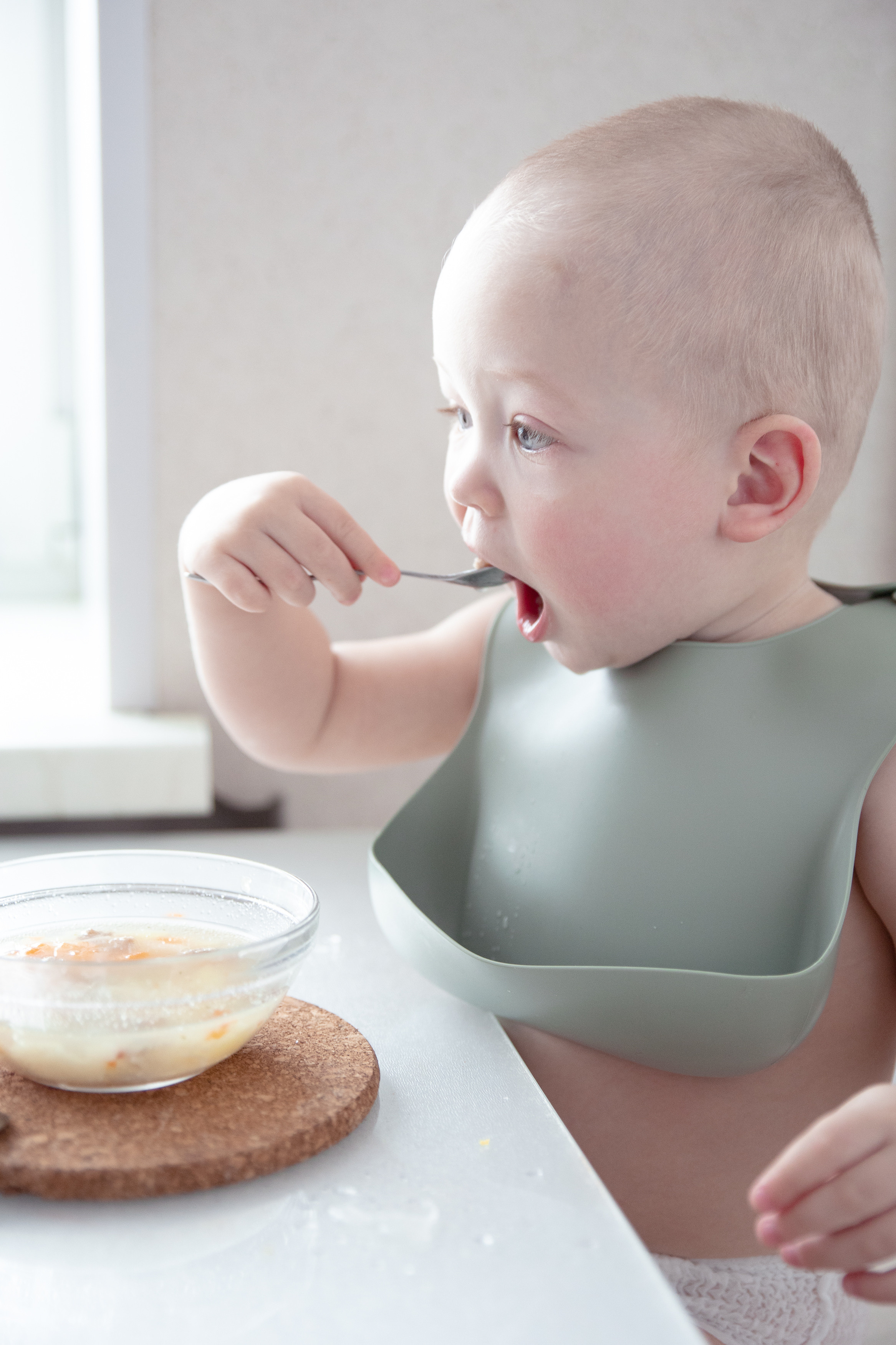 Лев. Фотограф в СПб и ЛО Татьяна Кучерова