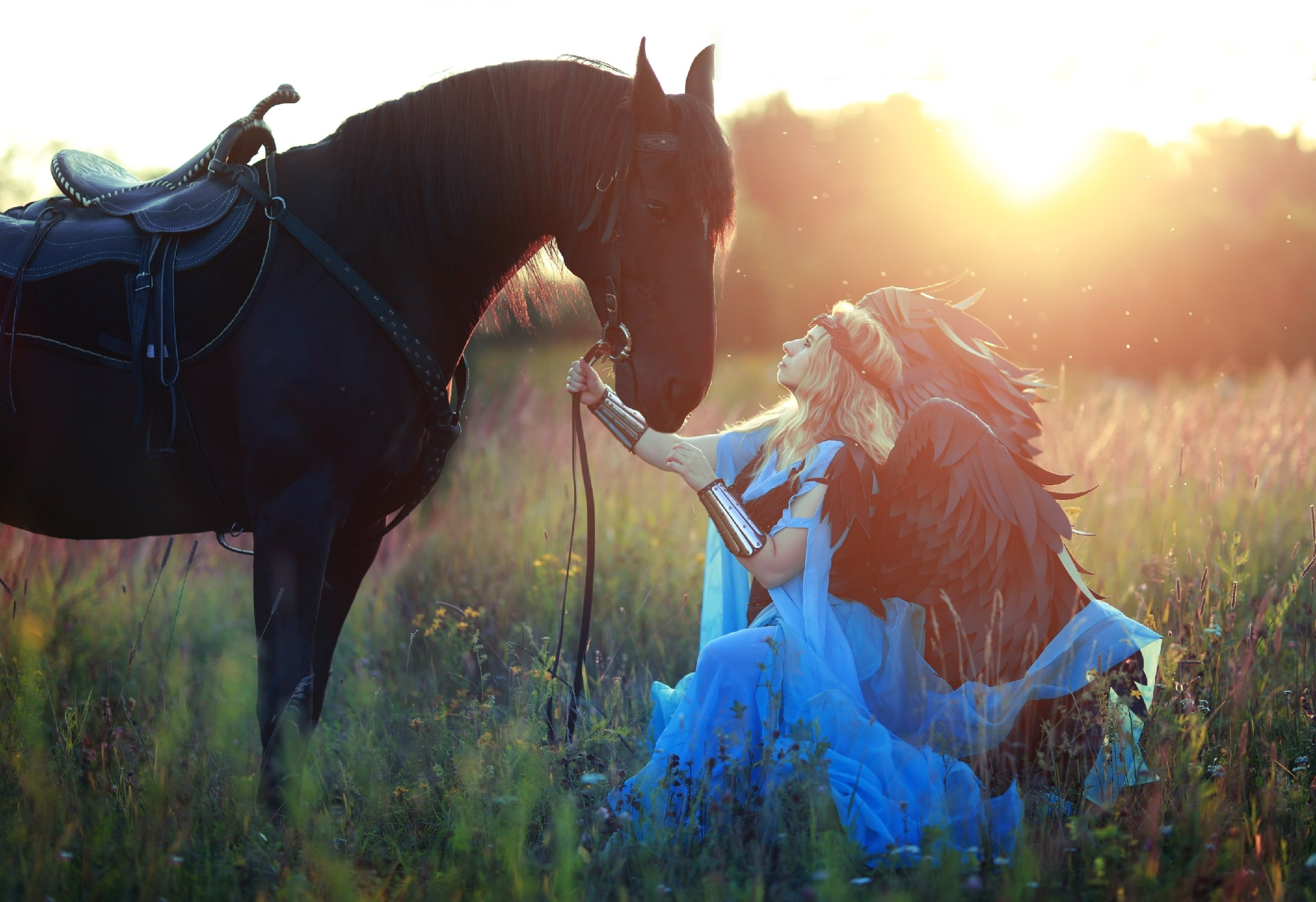 Фотосессии с лошадью. Фотосессия с лошадьми