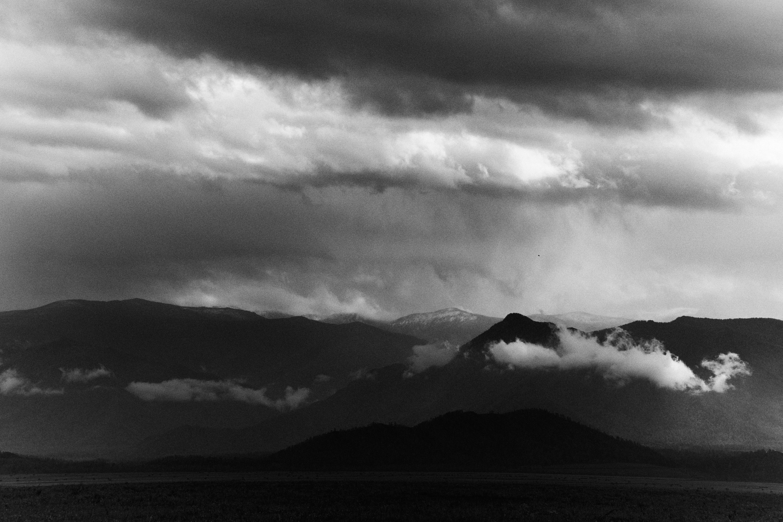 Работы. Фотограф тюмень москва ксения половодова