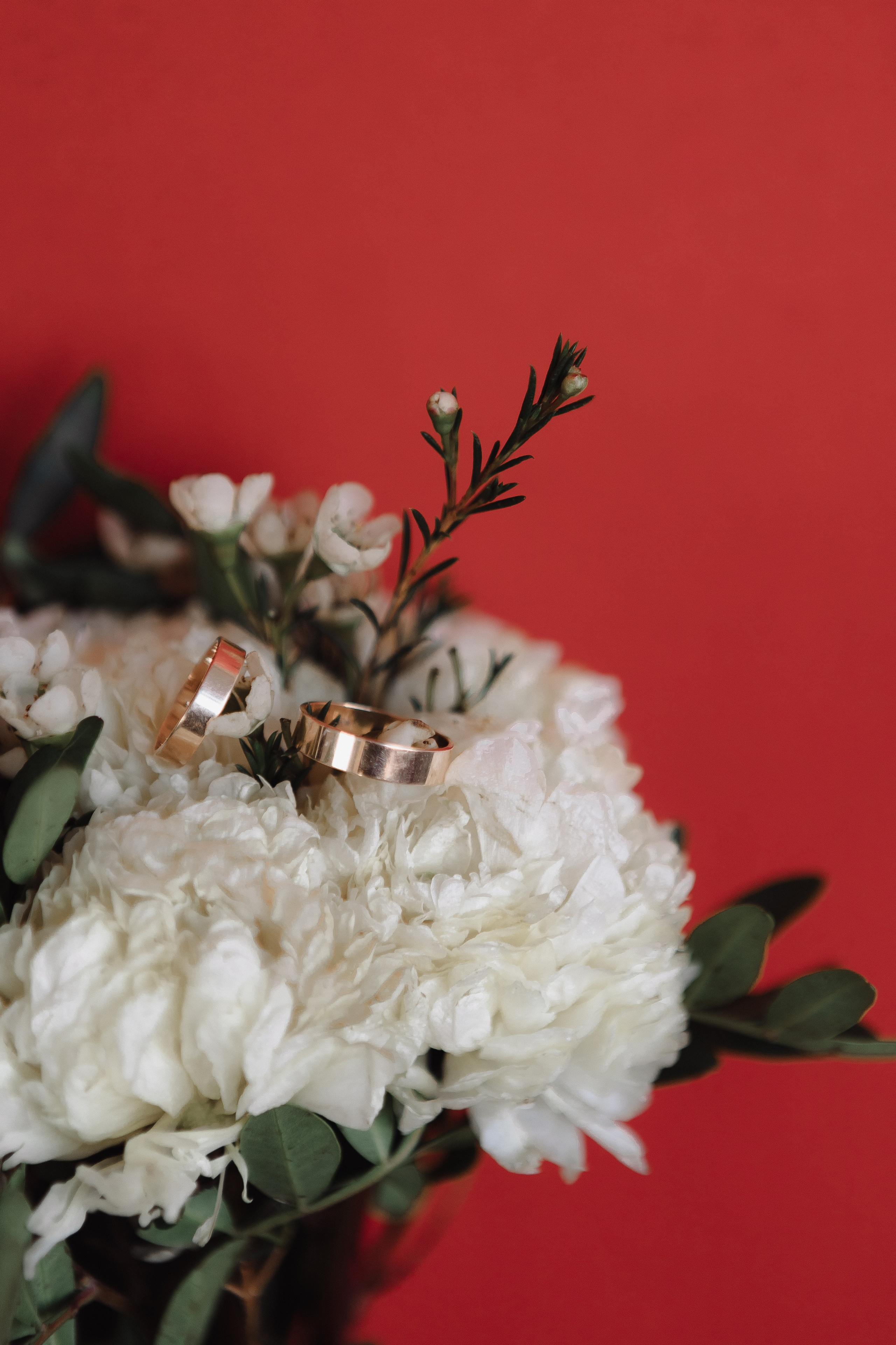 Свадьба Сергея и Елизаветы. Фотограф Кольчугино/Владимир/Москва Елизавета Иода