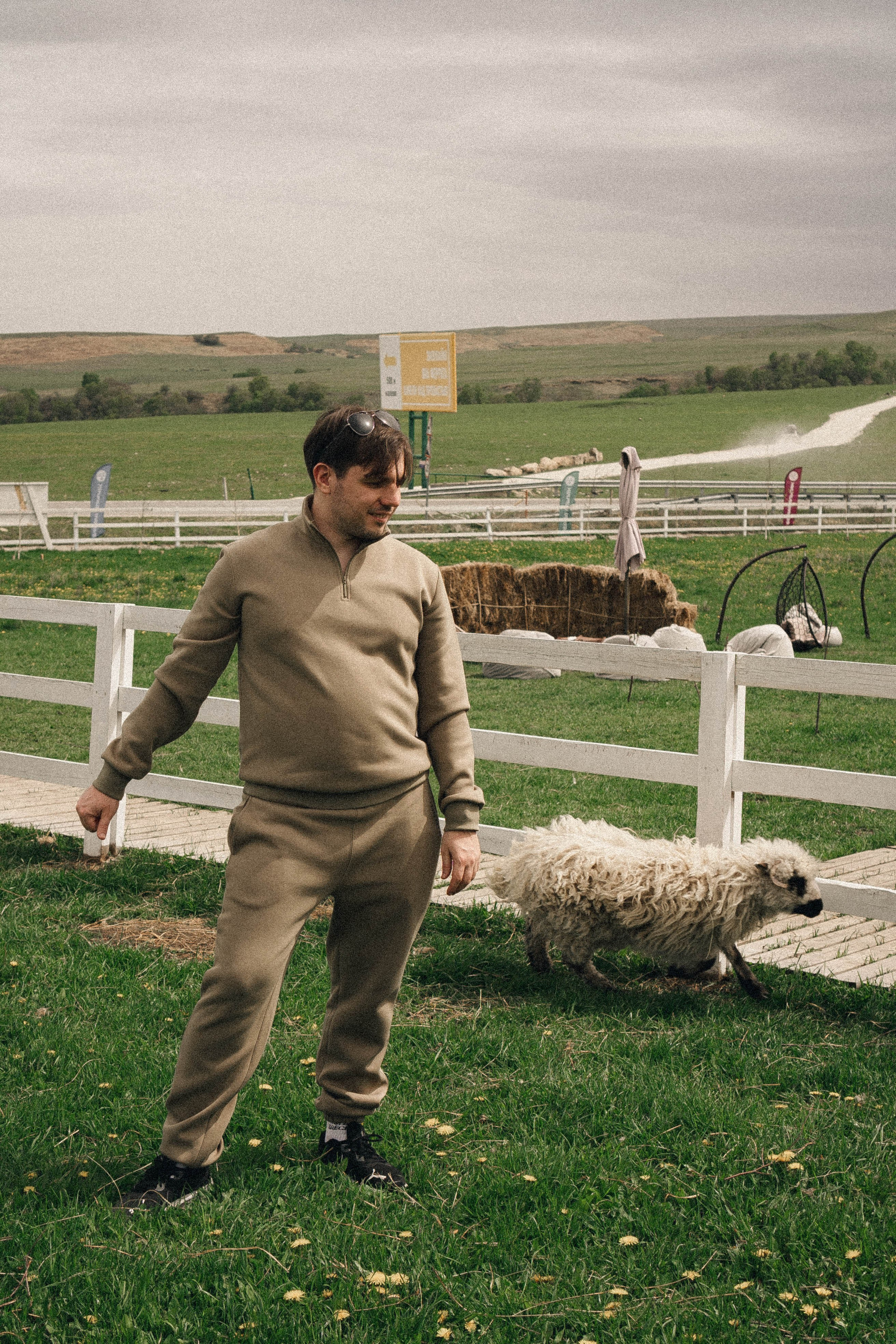 Ферма Альпак. Профессиональный фотограф, Санкт-Петербург — Виктория Богомолова