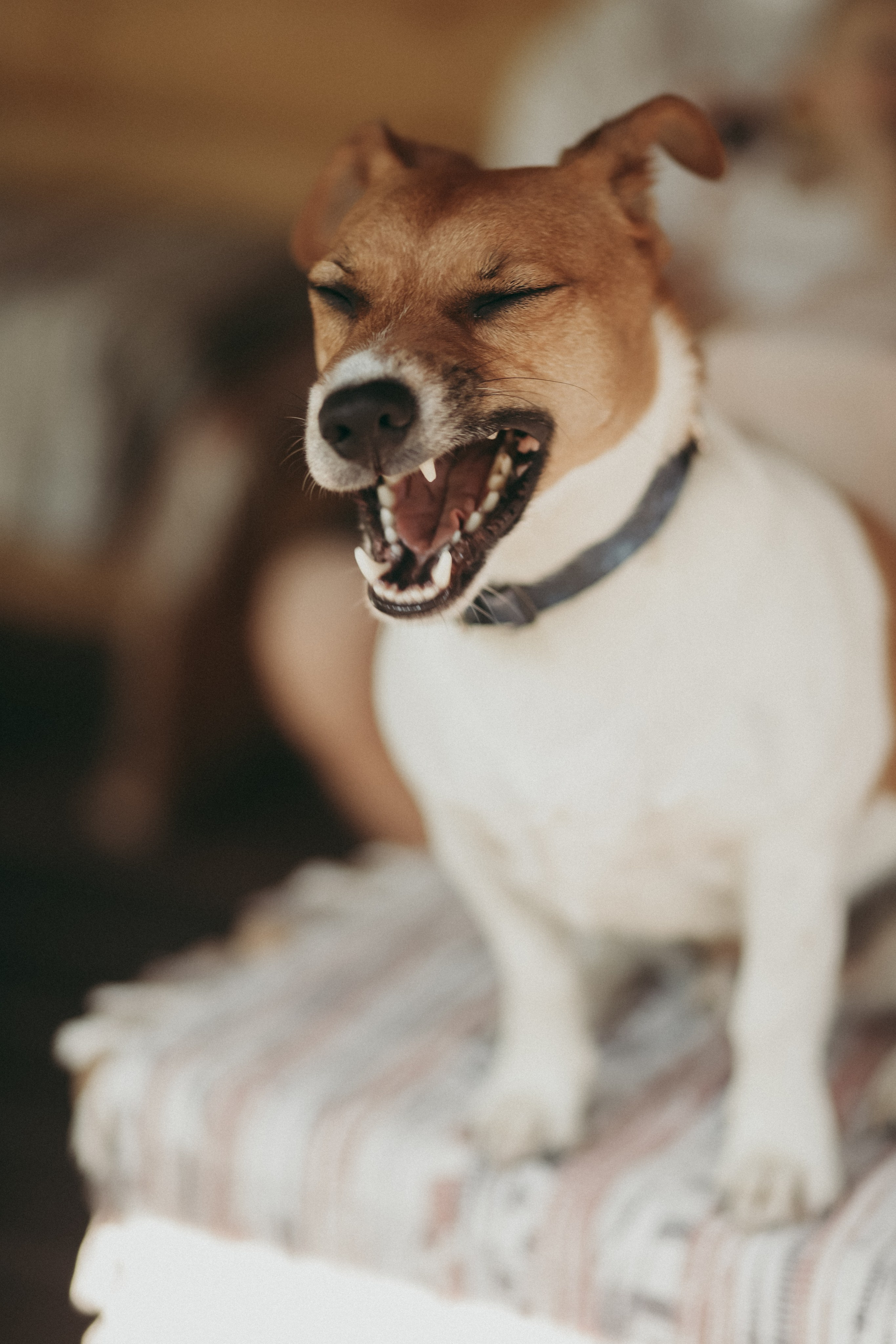 Мария, Максим и малышка. Фотограф Москва и Санкт-Петербург