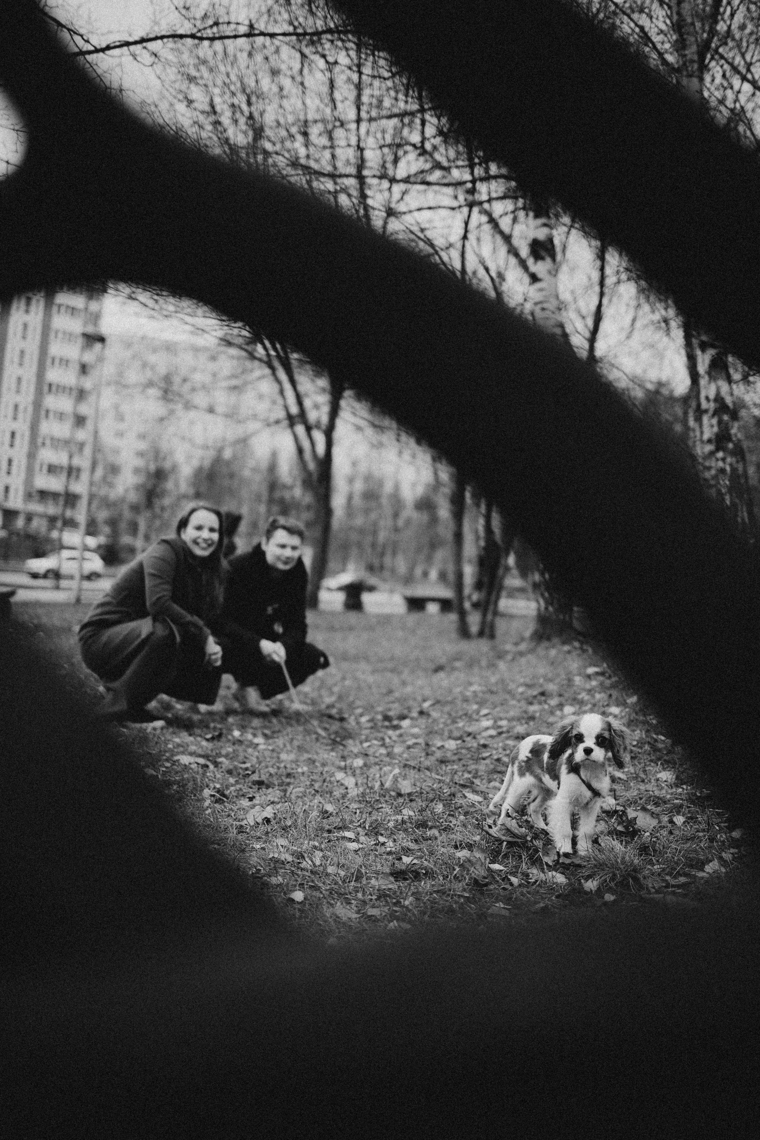 Юля и Кипр. Фотограф-анималист в Москве Лера Черноног