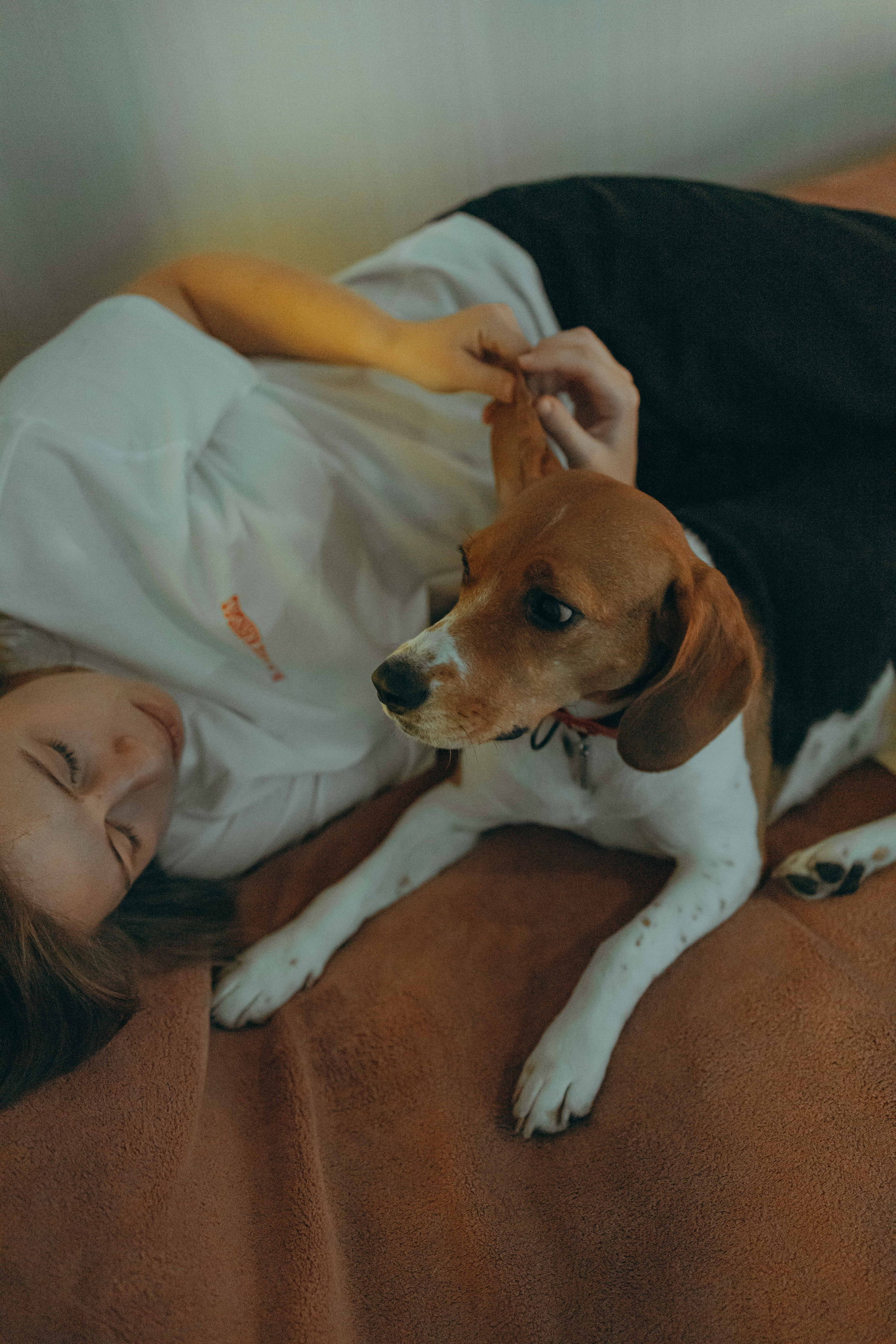 Света и Ива. Фотограф-анималист в Москве Лера Черноног