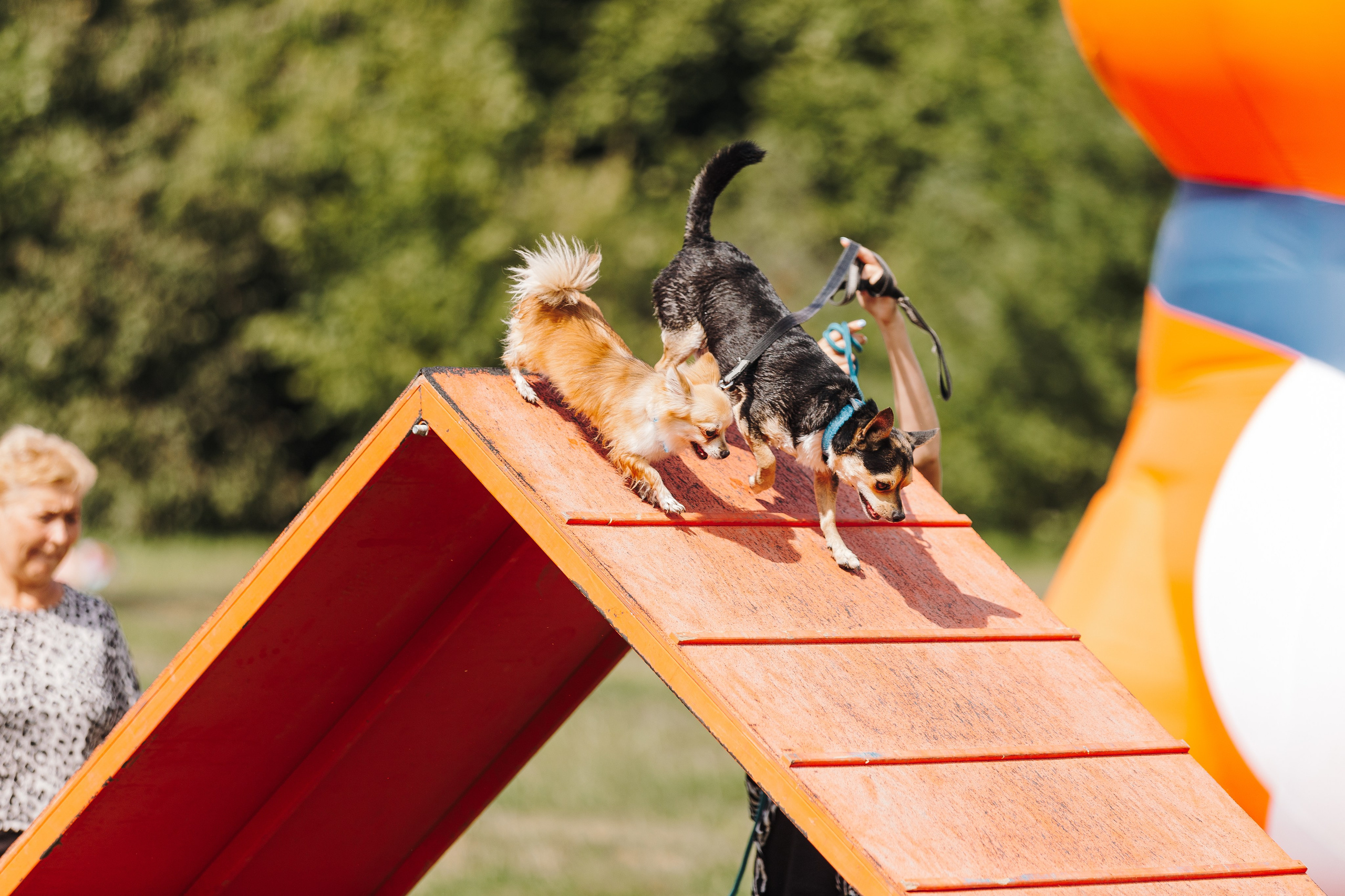 Petshop Sup day. Фотограф анималист Кристина Карпова, Москва