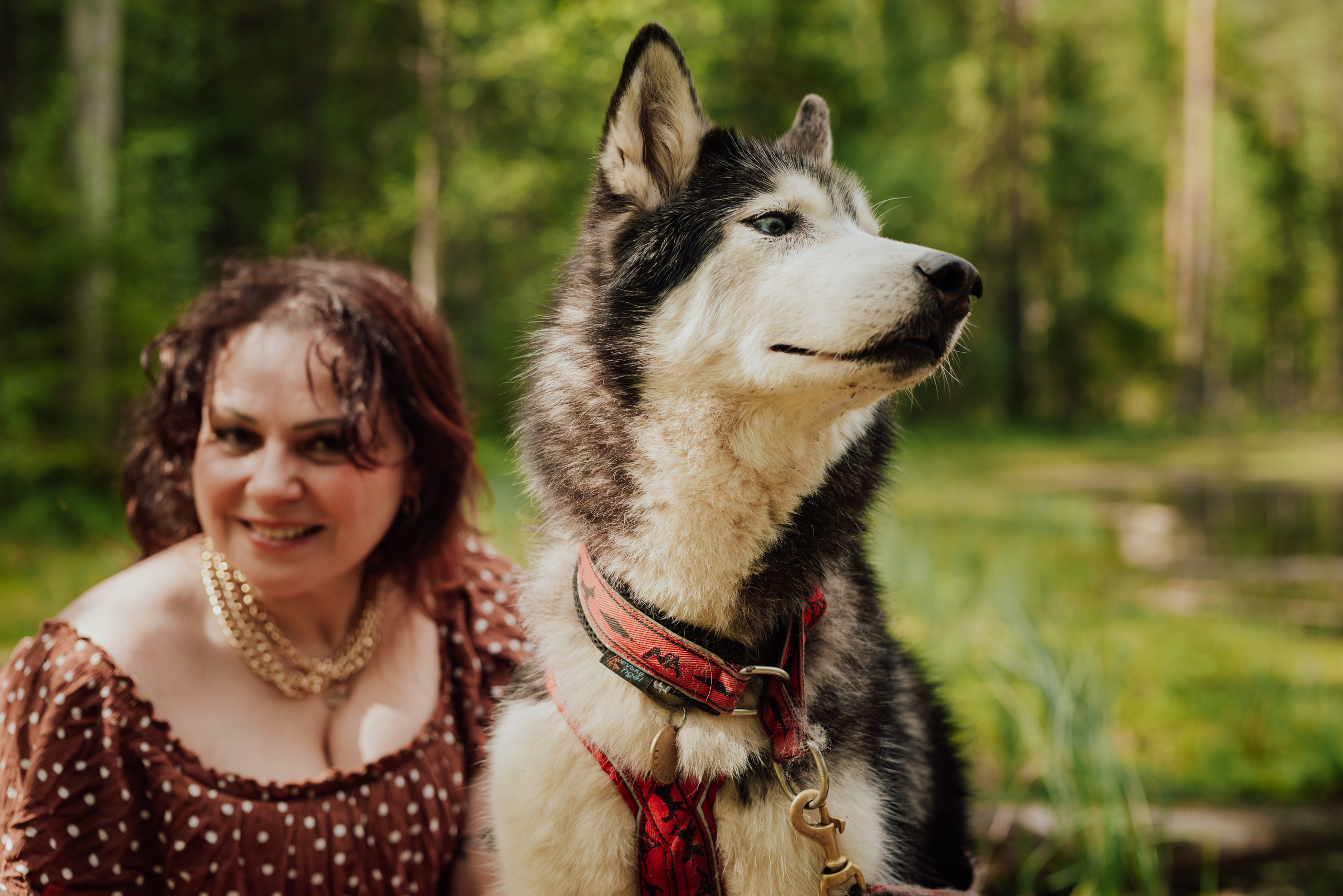 Догтрекинг. Фотограф в Санкт-Петербурге и Ленинградской области