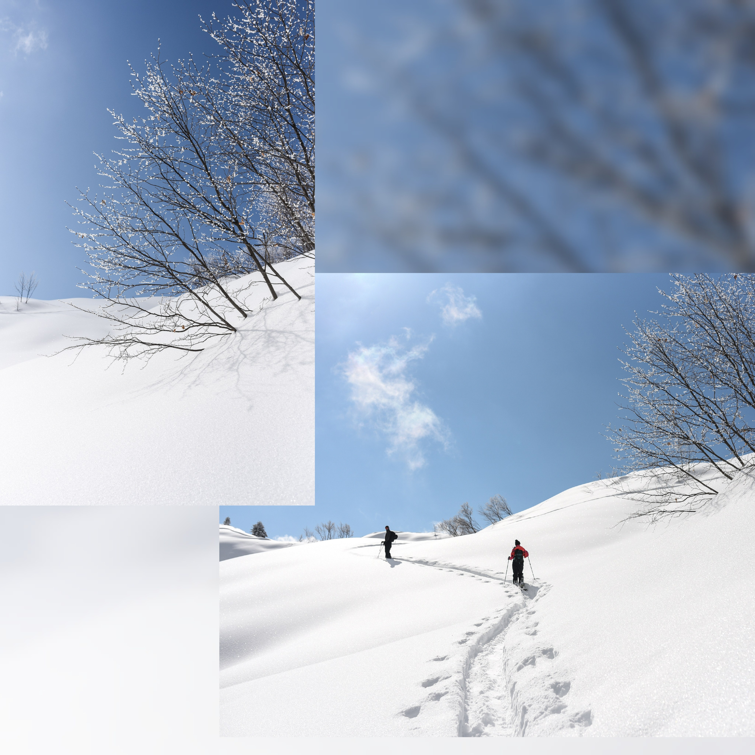 Winter Abjazia. Anastasia Serdyuk, travel photographer, travel photo, portraits, stories, fineart prints