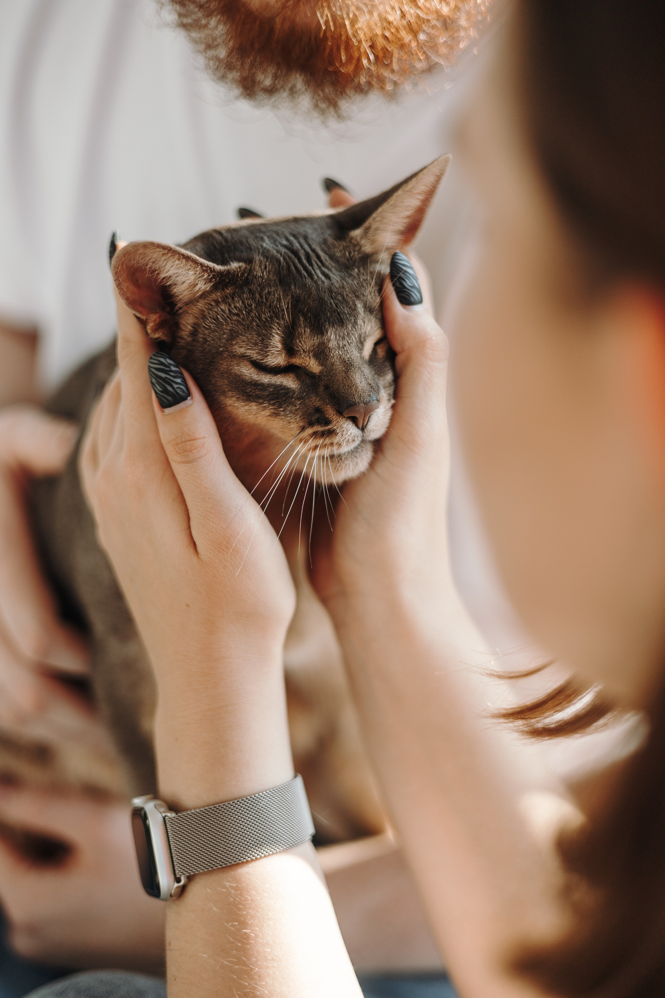 Циско и его семья. Фотограф — Анималист | Санкт-Петербург
