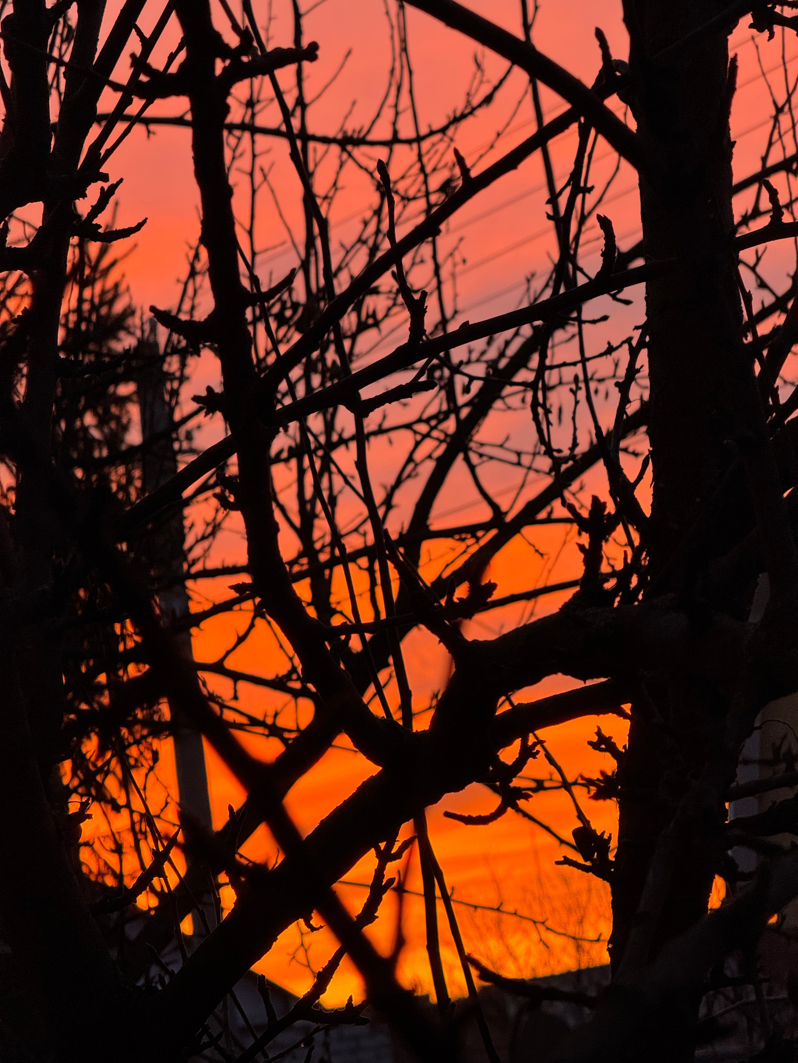 Рассвет в Тамбове. Александра Мельниченко/ Бегающий фотограф