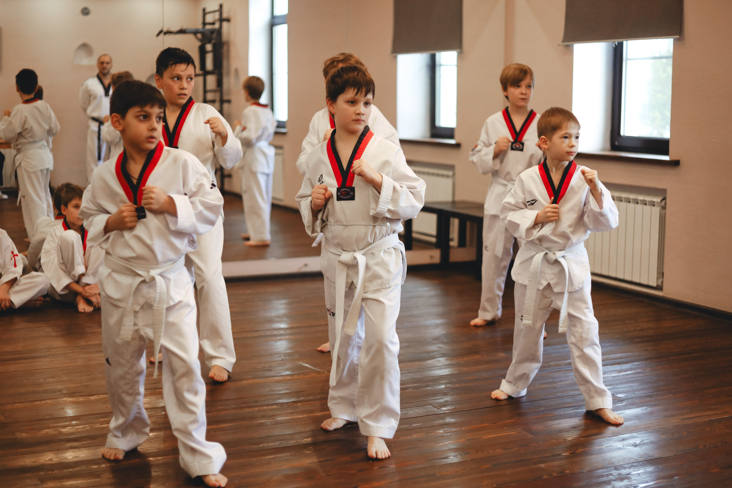 Тхэквондо Аттестация. Фотограф в Москве Бастракова Юлия