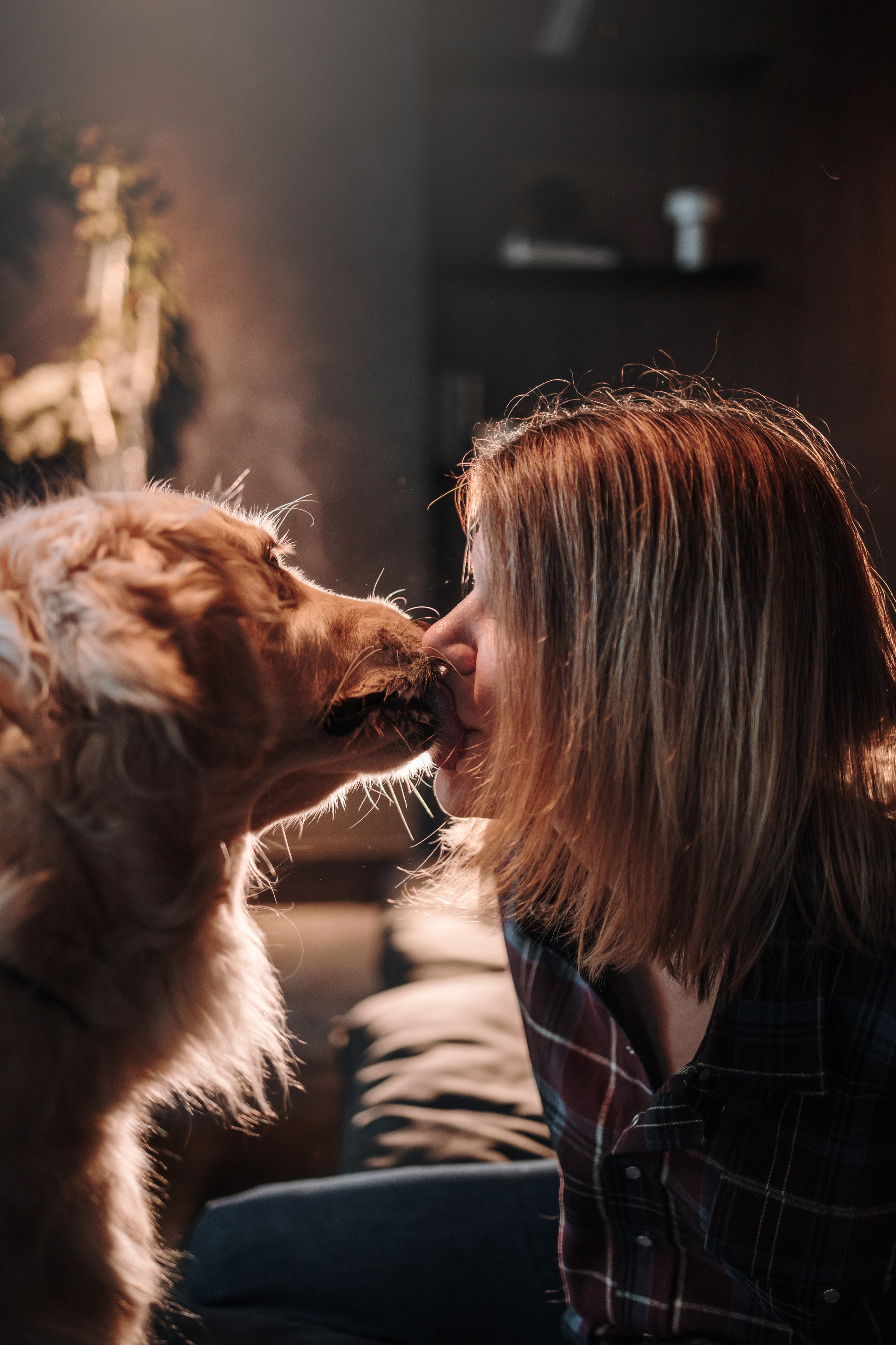 Вика и Рози. Фотограф — Анималист | Санкт-Петербург
