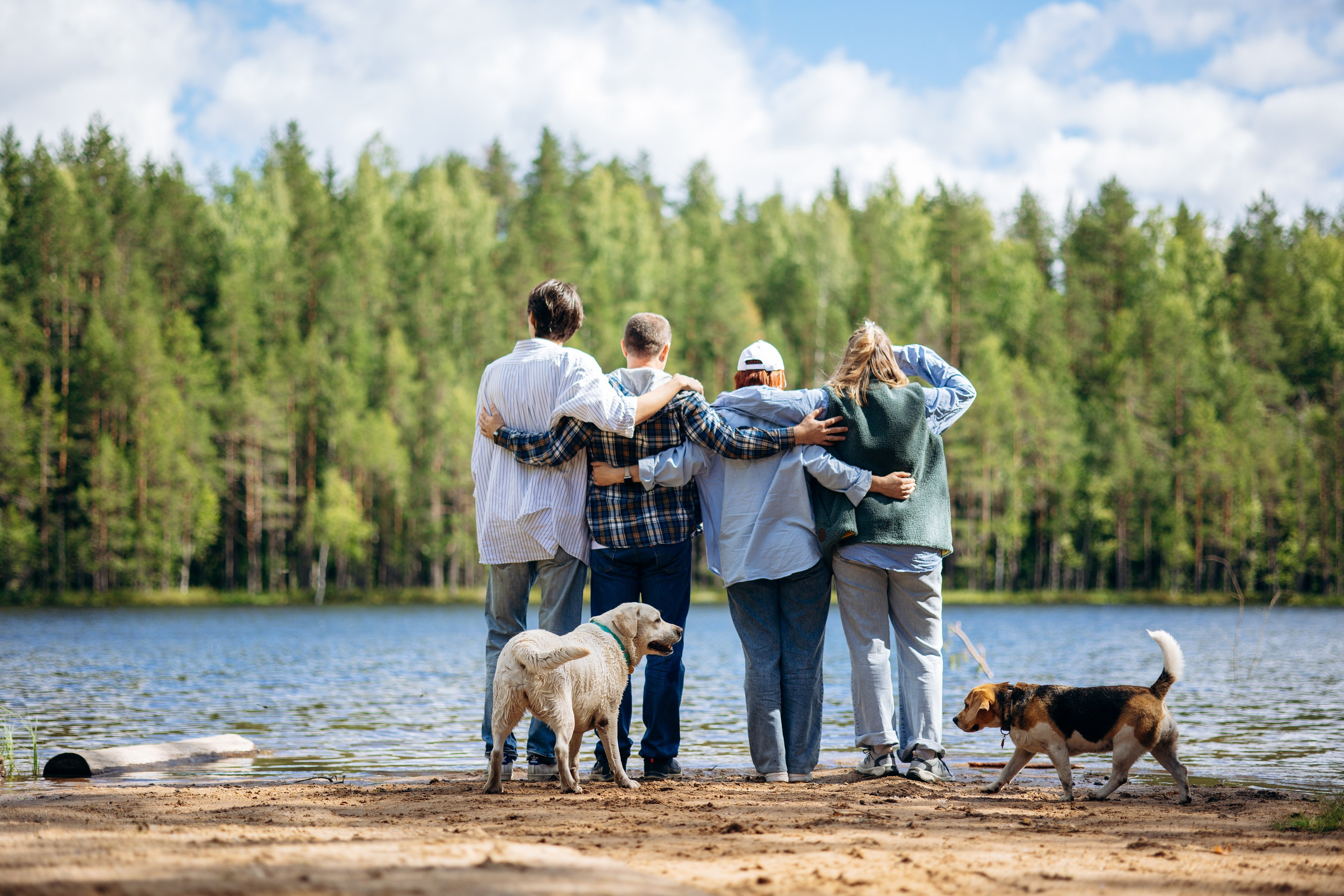 Котофеи и их семья. Фотограф — Анималист | Санкт-Петербург