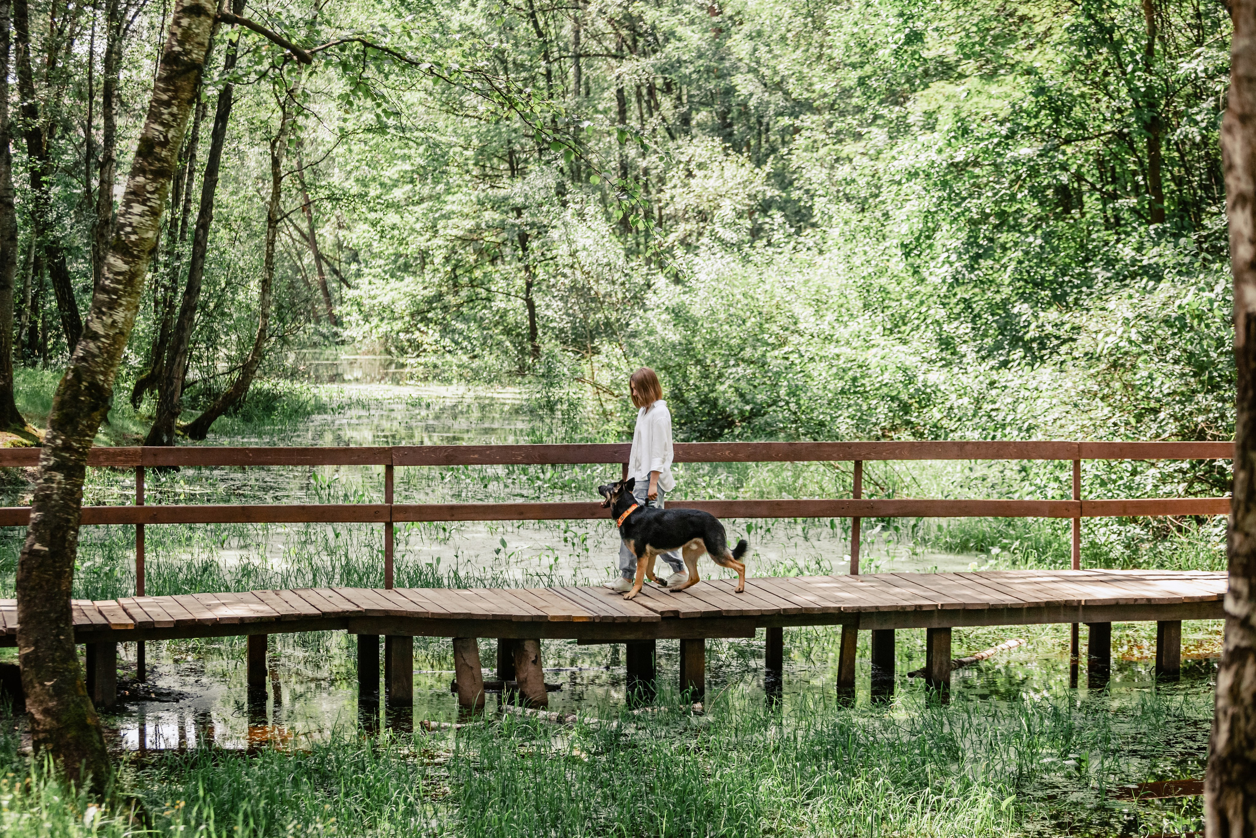 Лесная летняя фотопрогулка. Фотограф-анималист Татьяна Степанова