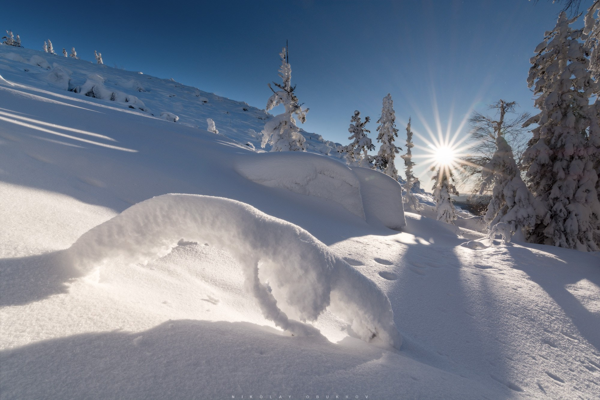 Зимний белый лес на рассвете — чистота и покой уральской природы под Нижним Тагилом.  