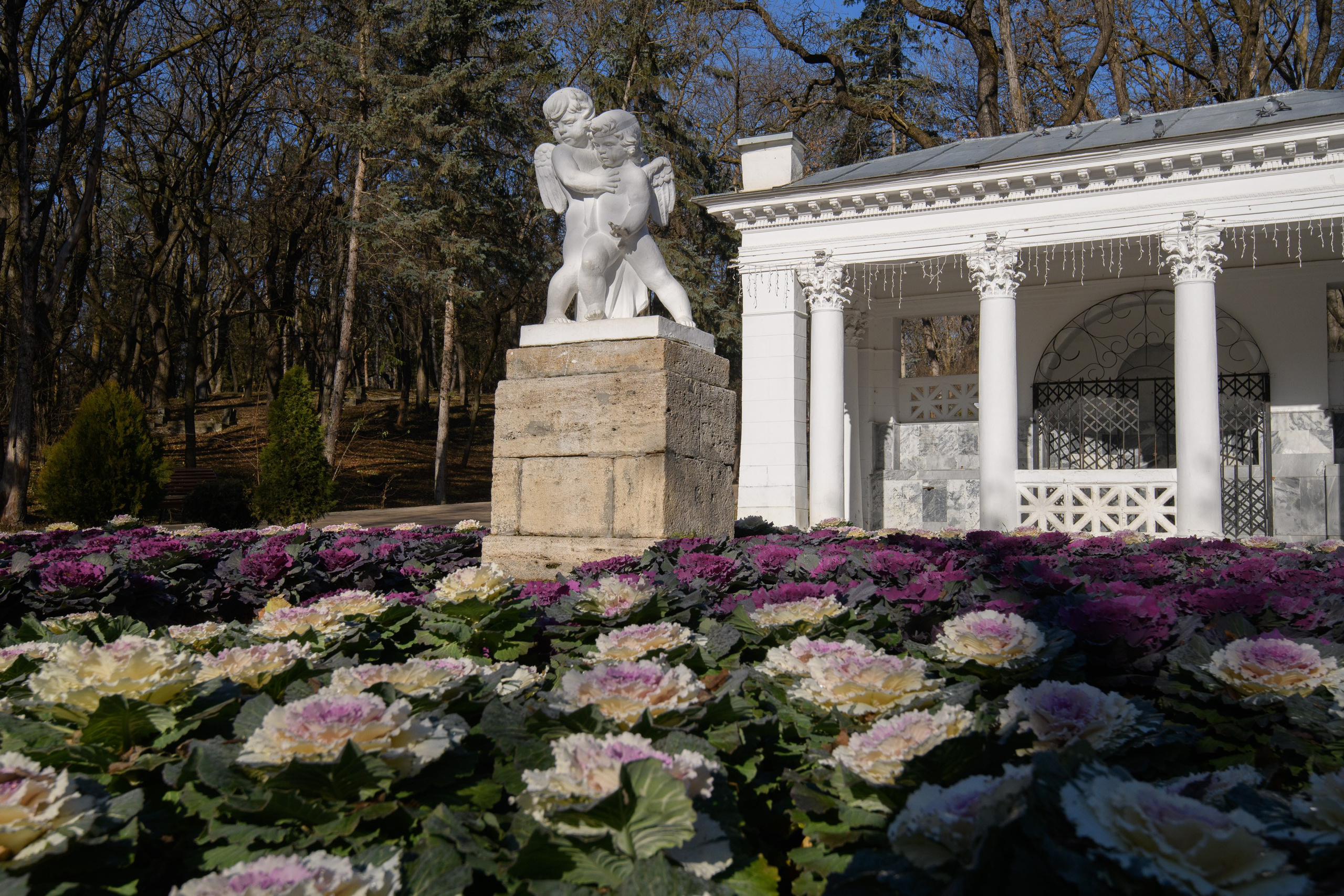 Ессентуки. Профессиональная фотосъемка. Ростов-на-Дону