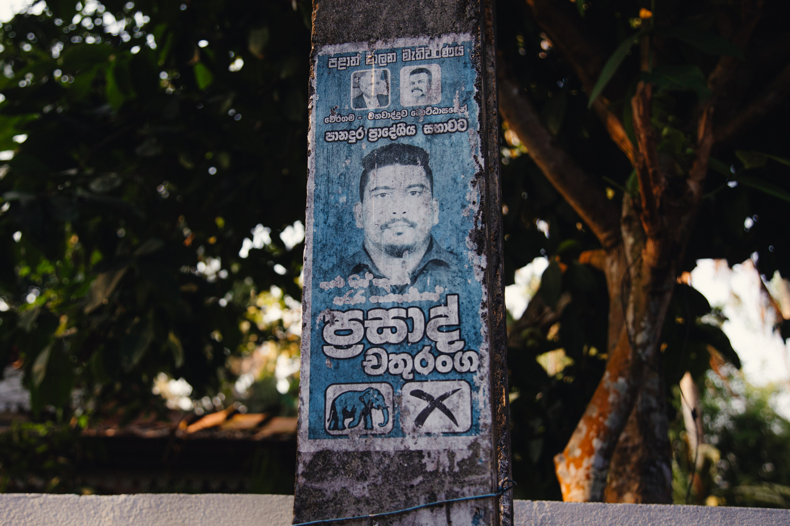 Шри-Ланка. Фотограф Юля Постнова