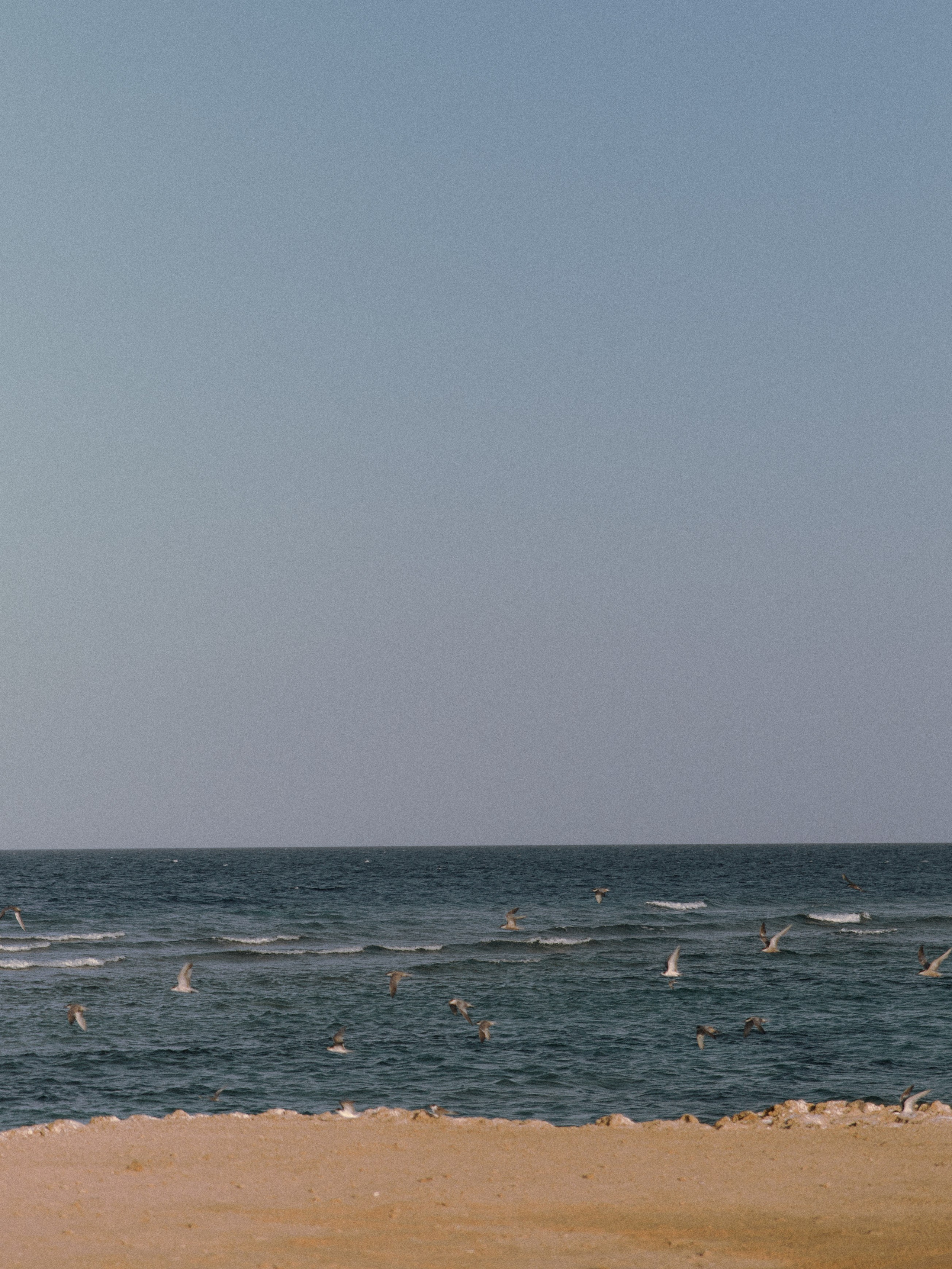 Природа. Jorgis Talè — photographer, kind person, teacher of arts and other mag