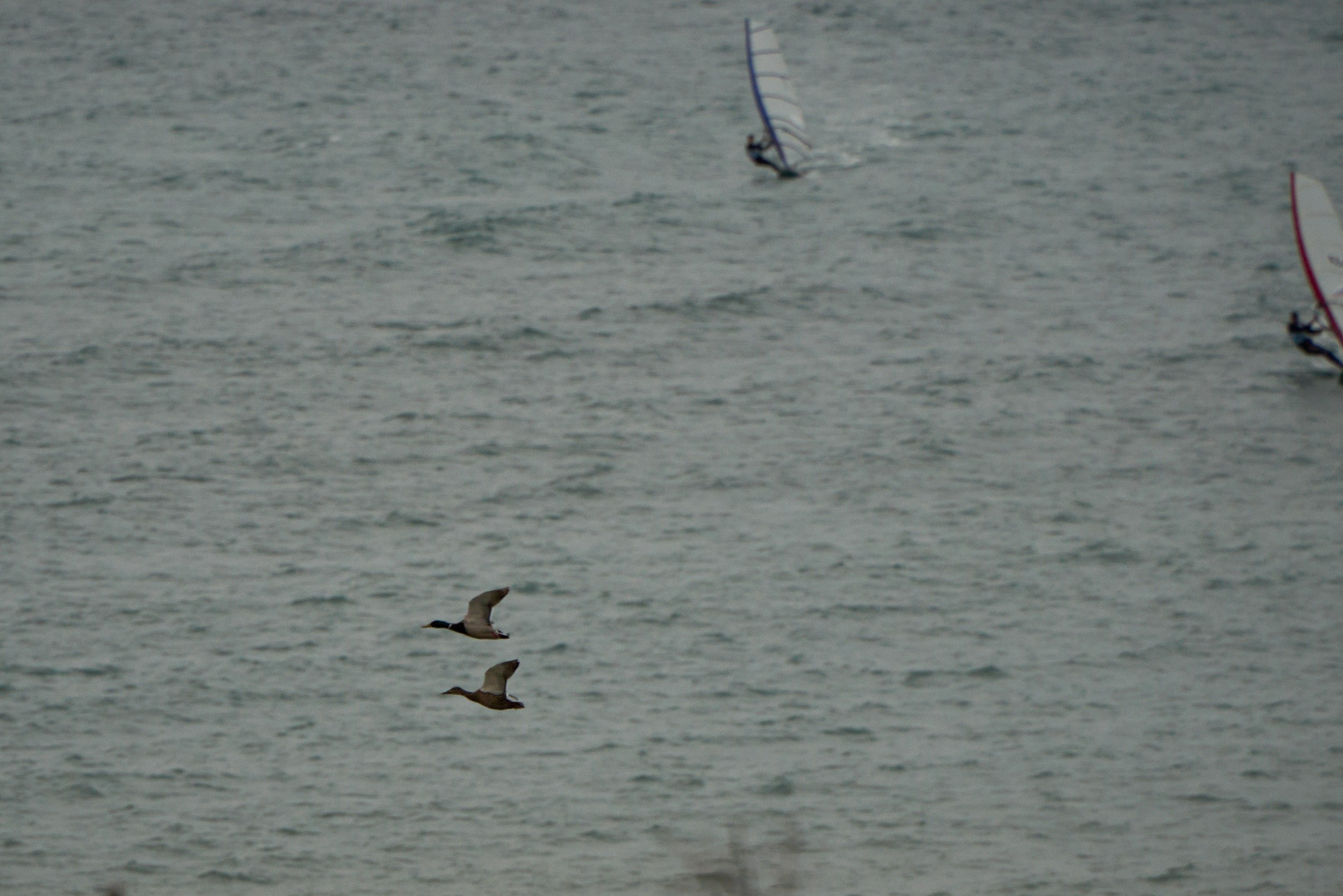 Фотографии улиц и пляжей Анапы. Профессиональный фотограф в Анапе Артем Ковальский