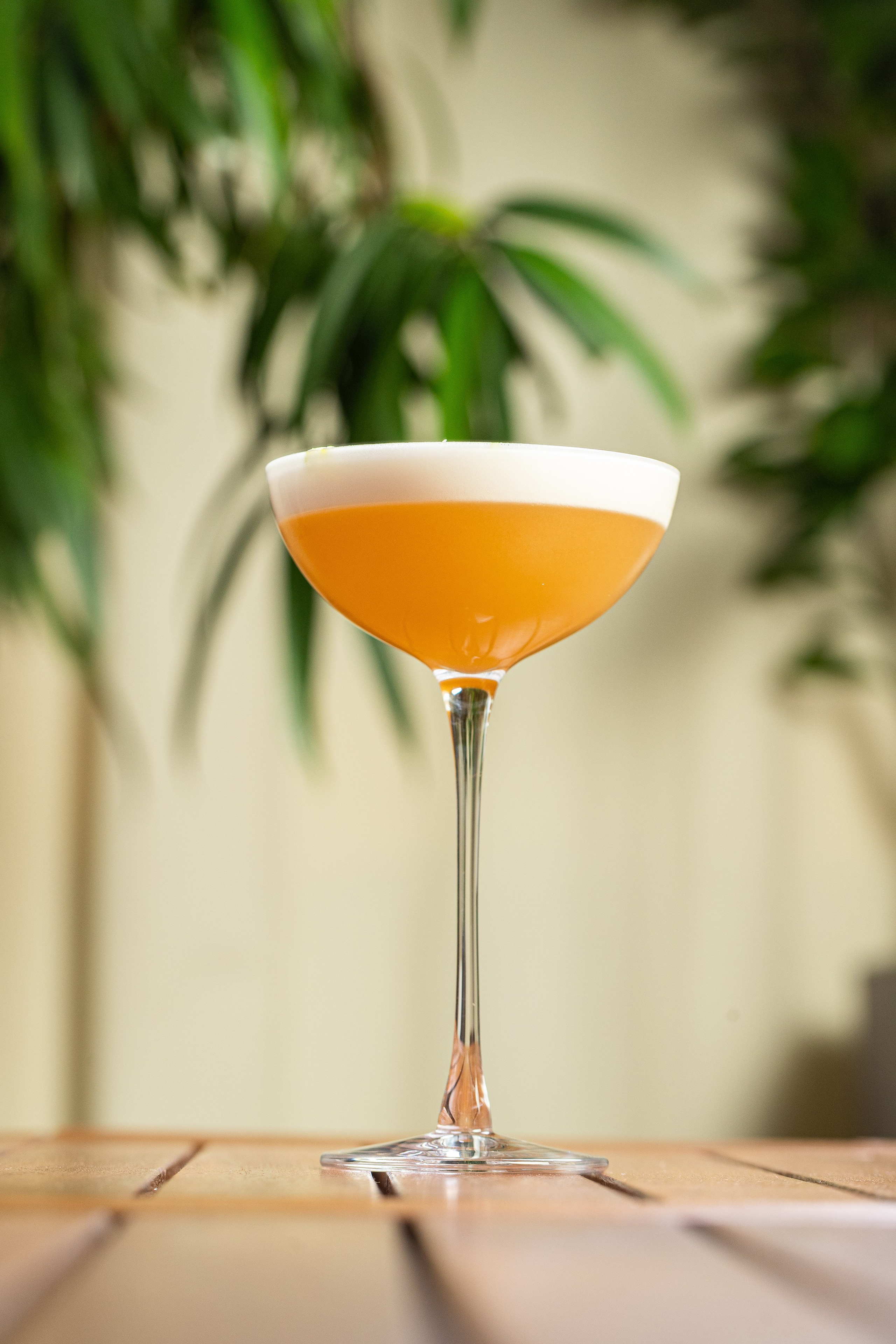 Shore House Village. Краснов Максим фуд-фотограф, предметный фотограф, Москва