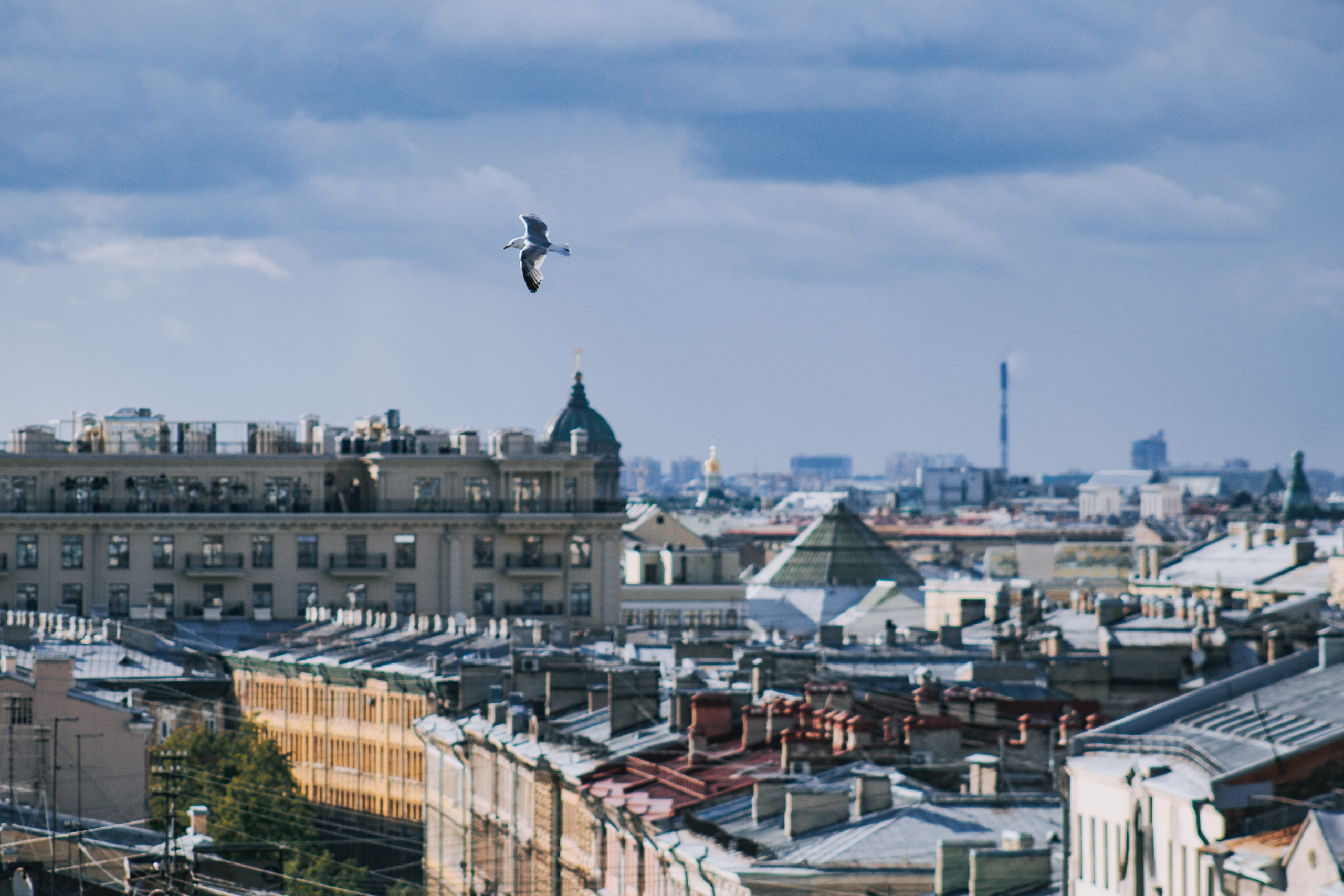 Санкт-Петербург. Фотограф в Санкт-Петербурге