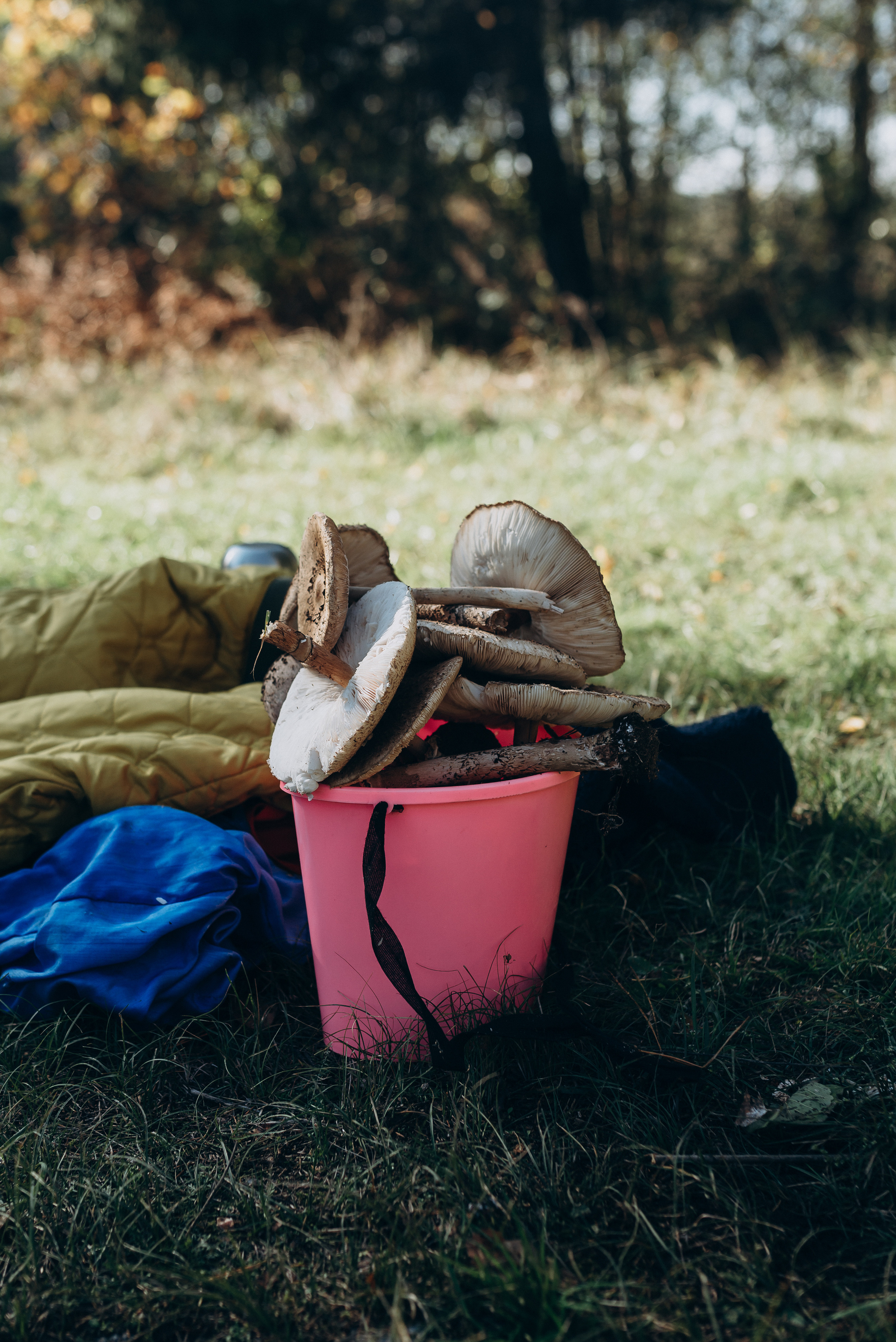 Поход. Свадебный фотограф в Тамбове и области