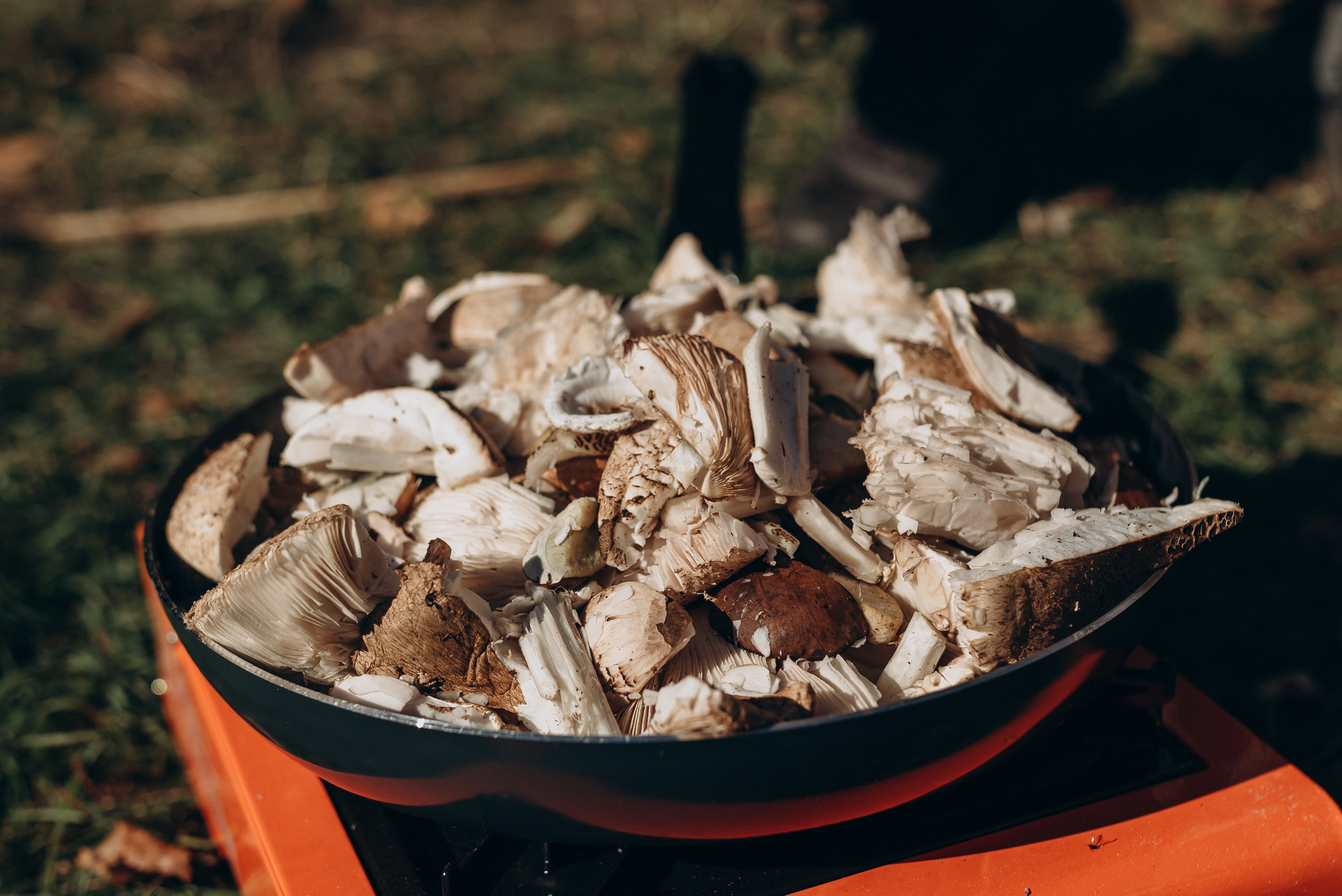 Поход. Свадебный фотограф в Тамбове и области