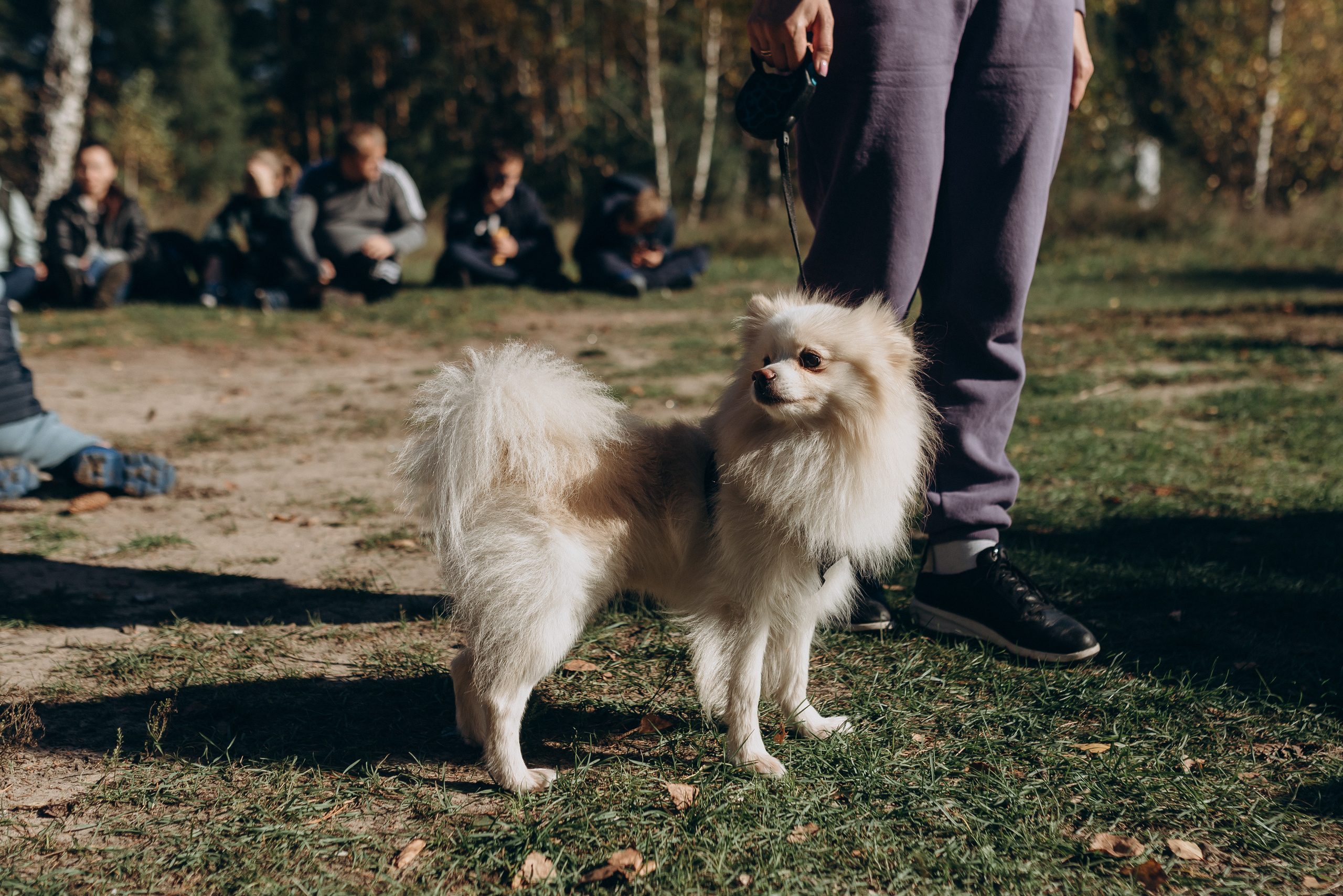 Поход. Свадебный фотограф в Тамбове и области
