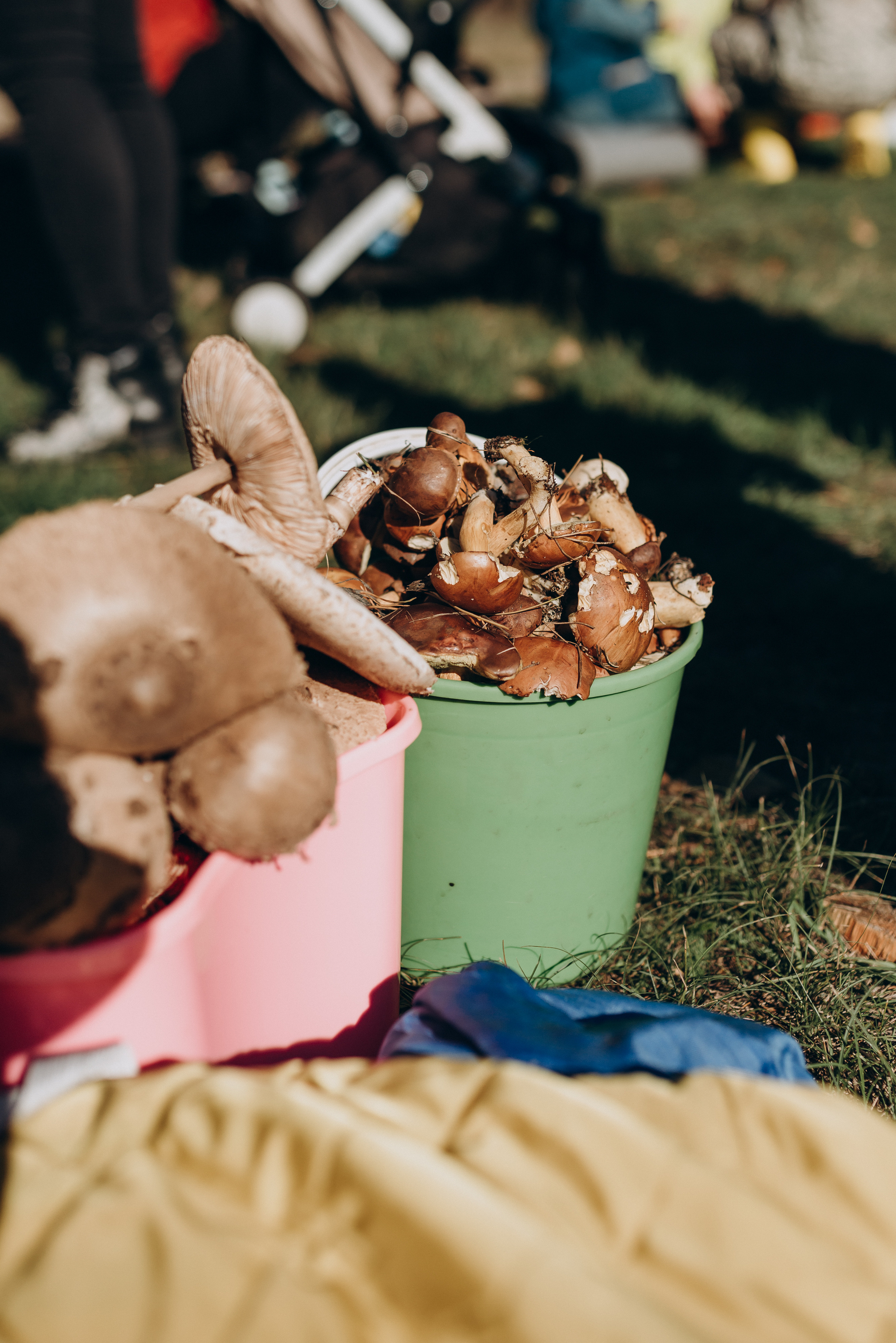 Поход. Свадебный фотограф в Тамбове и области