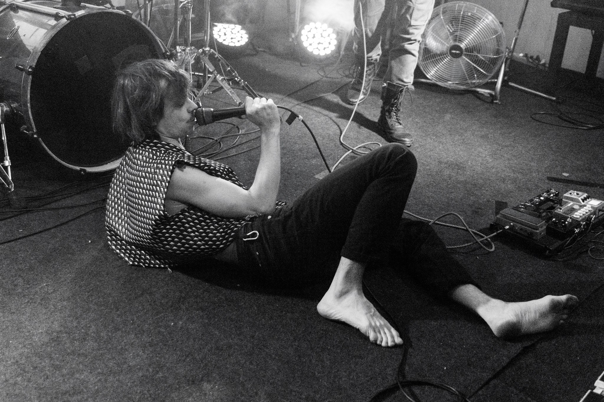 Змееед, Apodemus, 20.12.25, TAGO)))MAGO)))