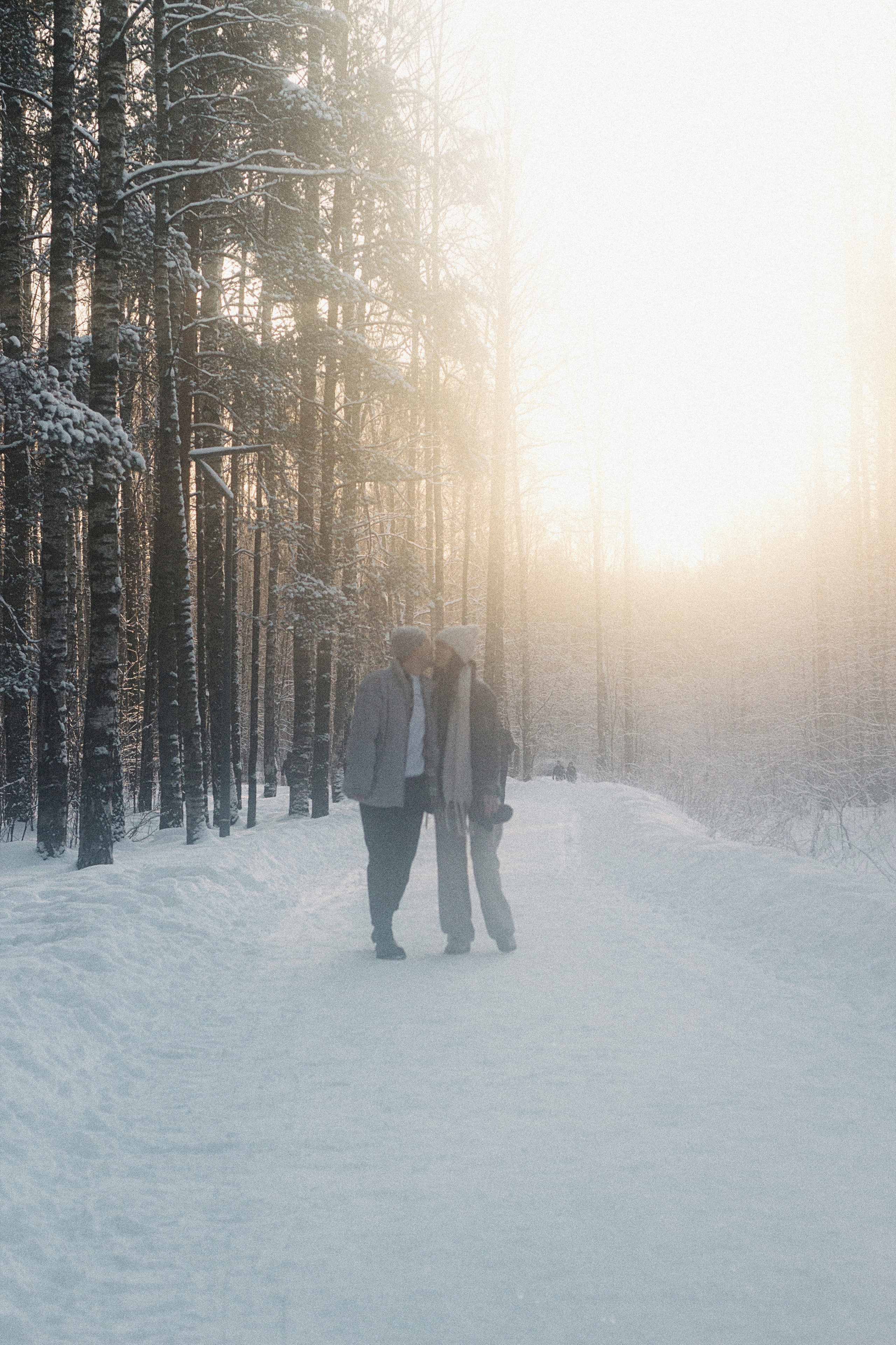 Влюбленная пара гуляет зимой в лесу Вера Пьянцева