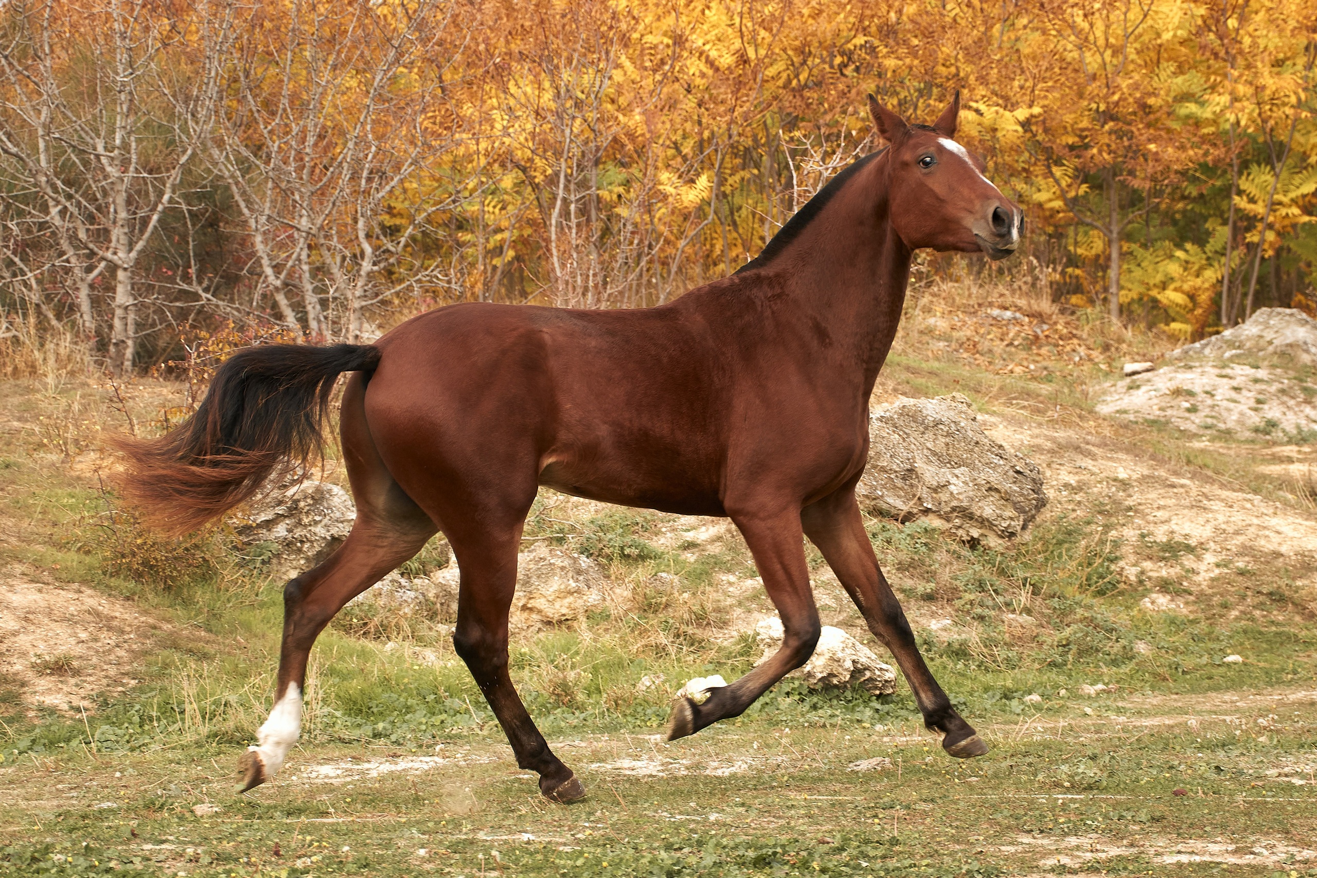 Роня. Фотограф в Севастополе