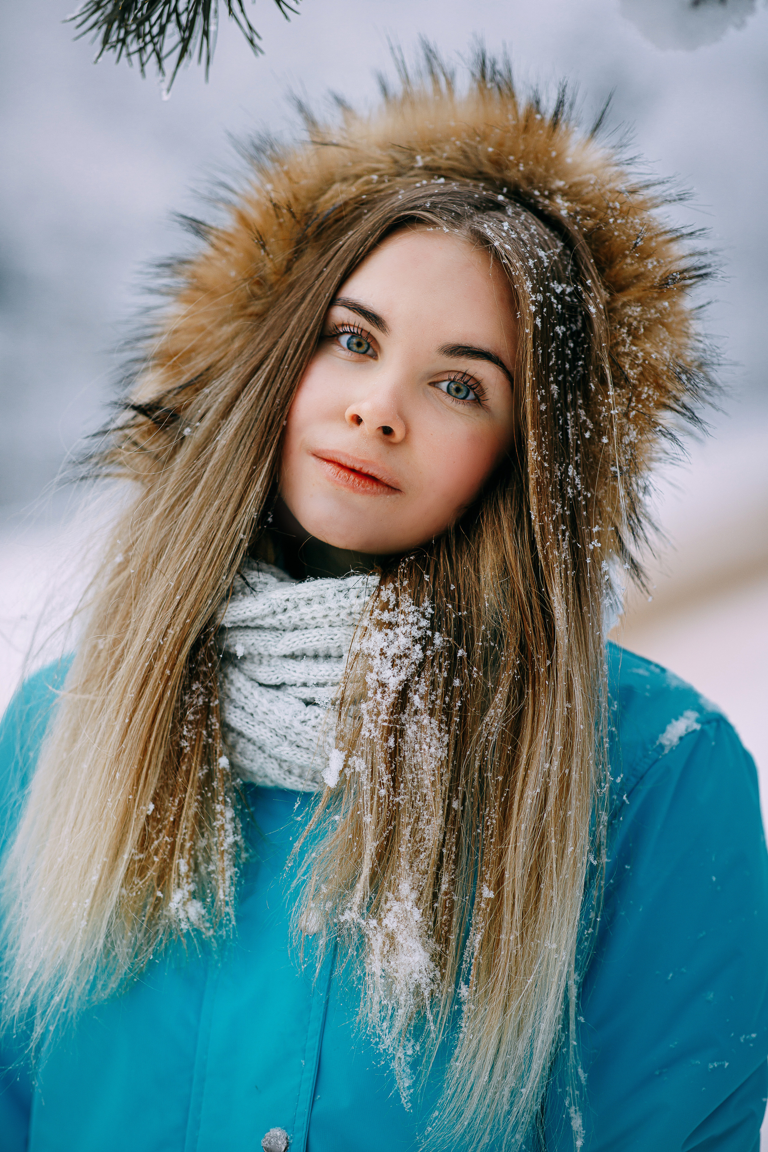 Зима. Фотограф г. Зубцов Елена Соколова